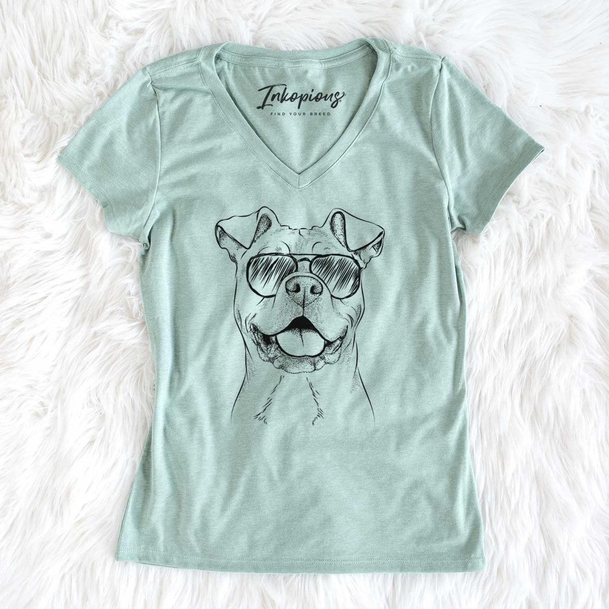 Aviator Bubba Scraps the American Staffordshire Mix - Women's V-neck Shirt