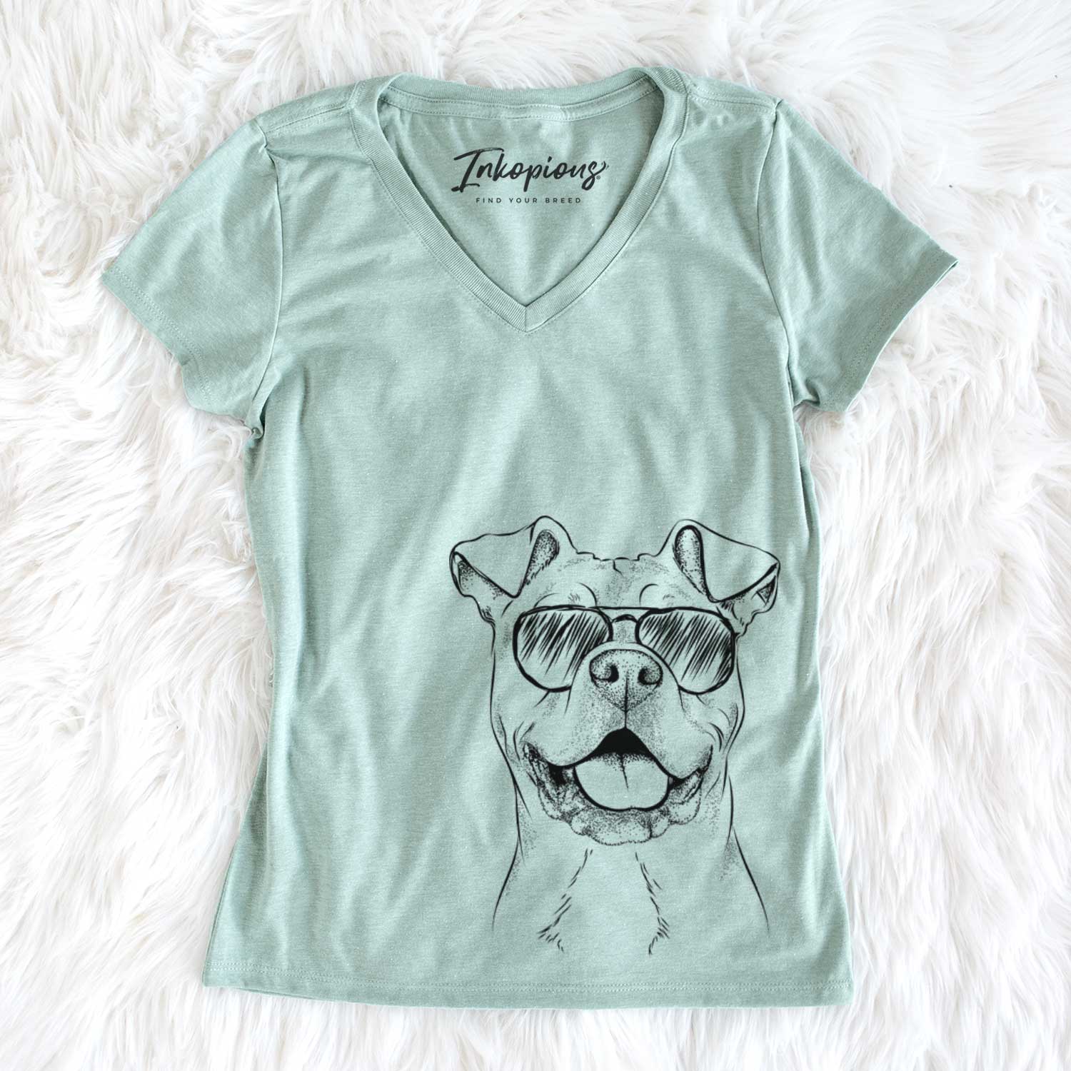 Aviator Bubba Scraps the American Staffordshire Mix - Women's V-neck Shirt