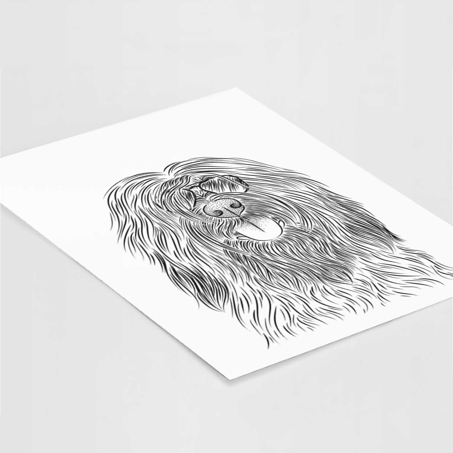 Bundy the Briard Art Print