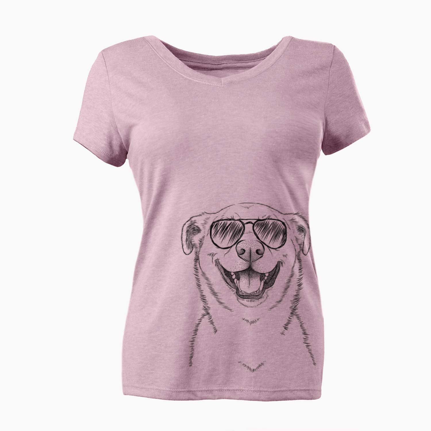 Aviator Chancellor the Mixed Breed - Women's V-neck Shirt