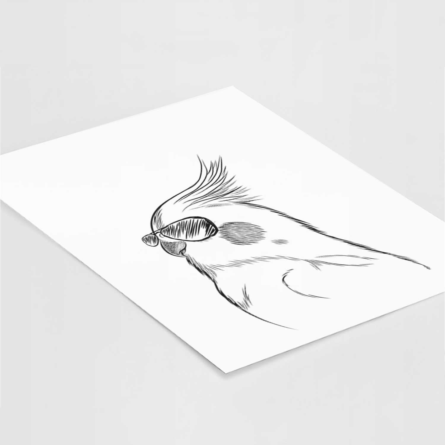 Charlie the Cockatiel Art Print