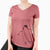 Aviator Chive the Chinstrap Penguin - Women's V-neck Shirt