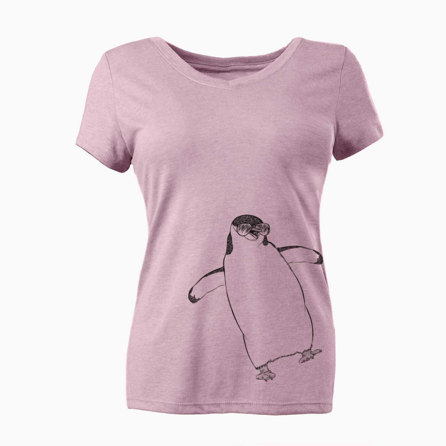 Aviator Chive the Chinstrap Penguin - Women's V-neck Shirt