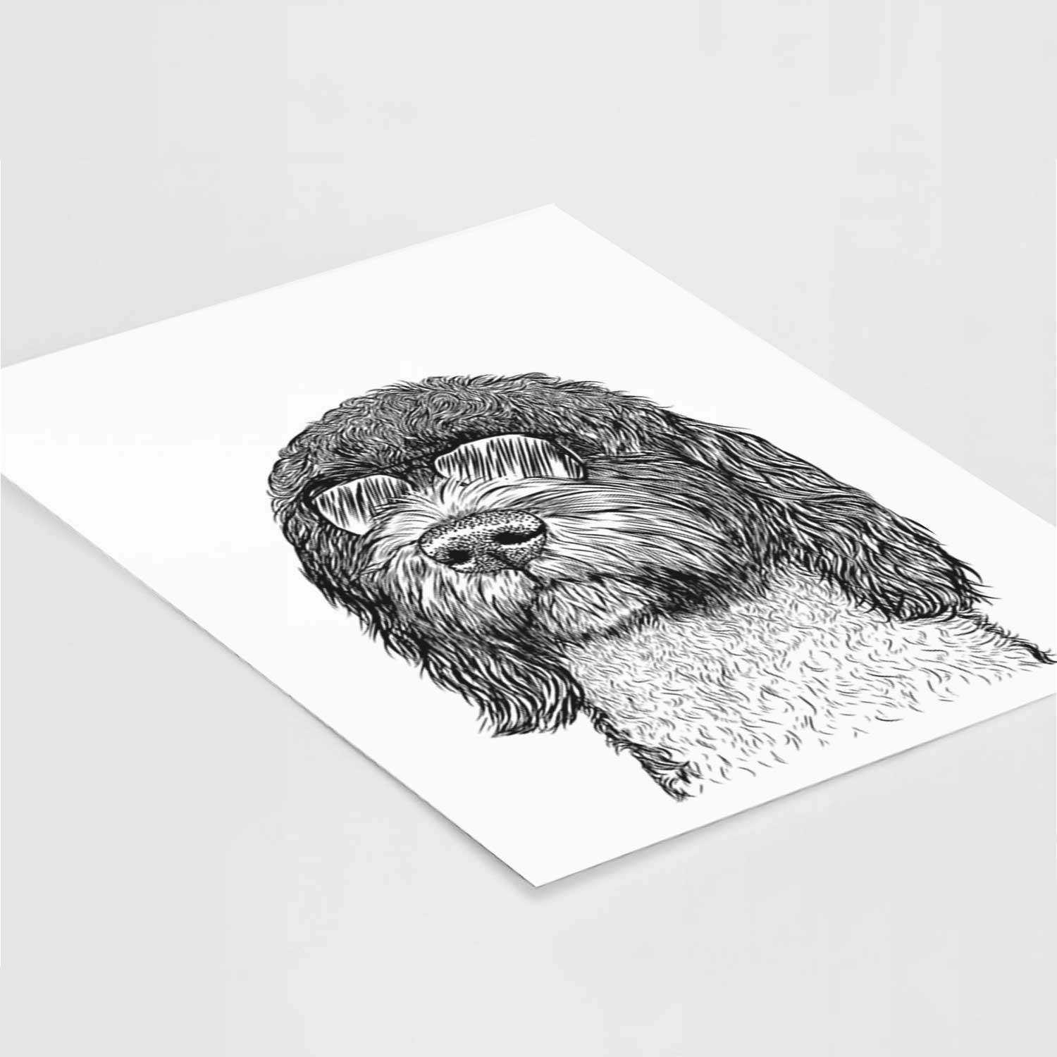 Chris the Portuguese Water Dog Art Print