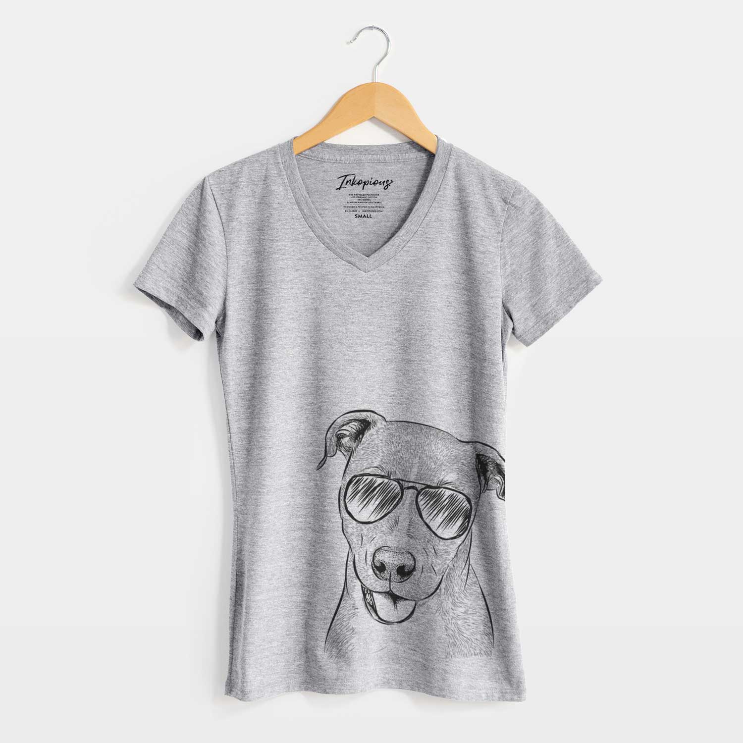 Aviator Claiborne the American Staffordshire Terrier - Women's V-neck Shirt