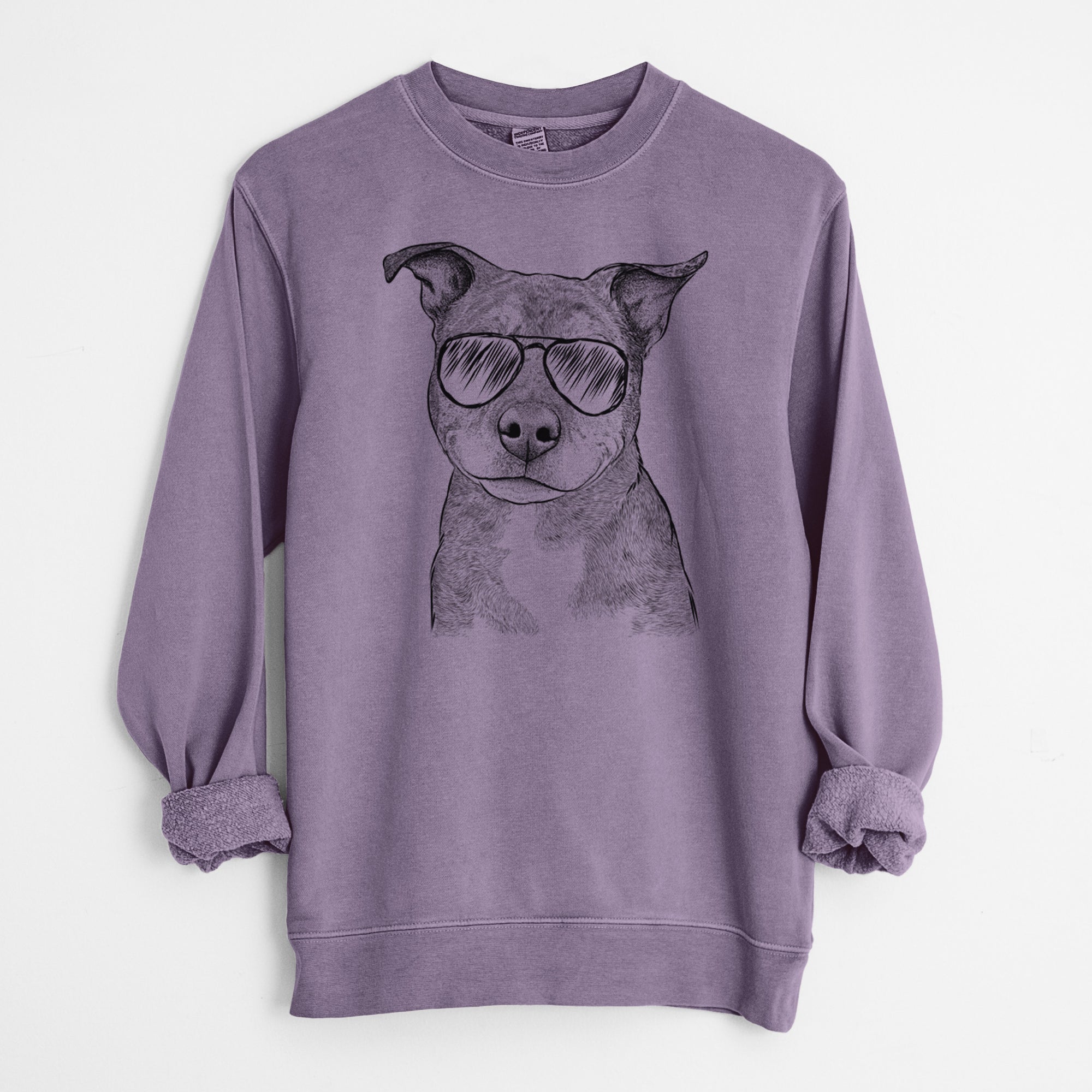 Aviator Cody the Catahoula Mix - Unisex Pigment Dyed Crew Sweatshirt