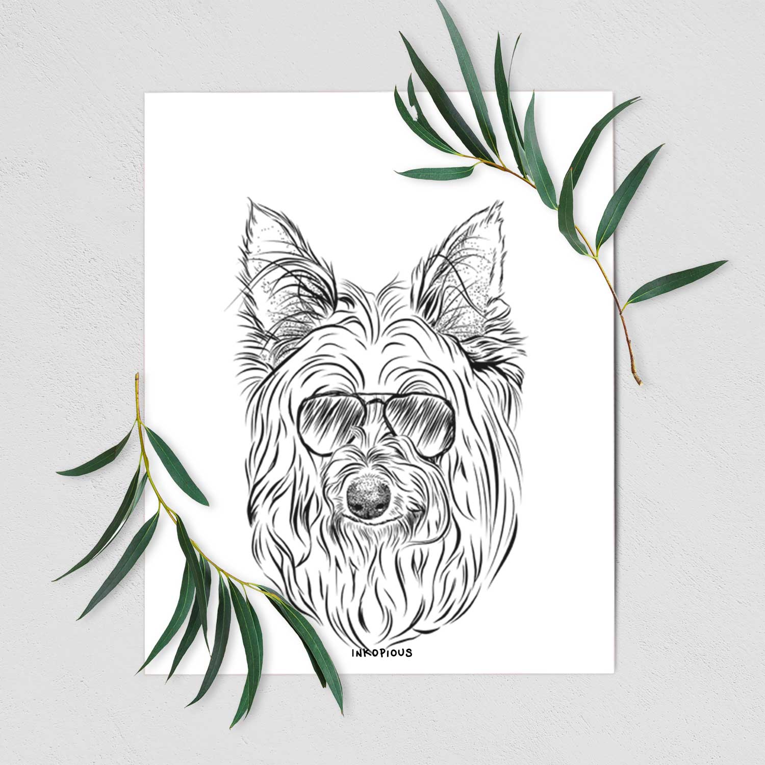 Daisy May the Silky Terrier Art Print