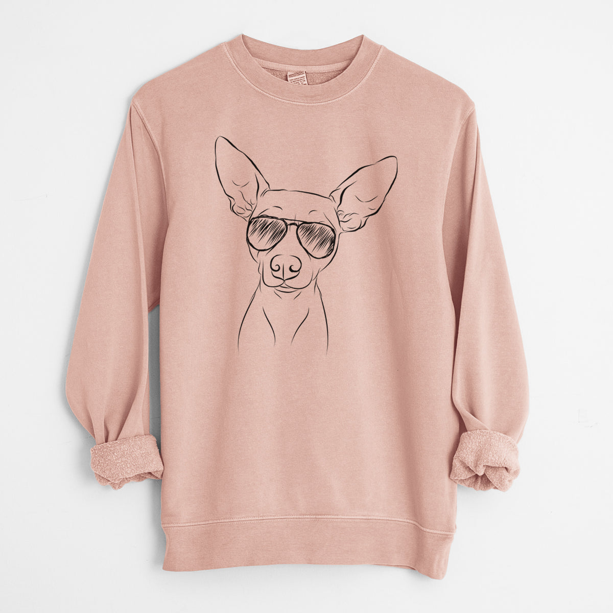 Aviator Desi the American Hairless Terrier - Unisex Pigment Dyed Crew Sweatshirt