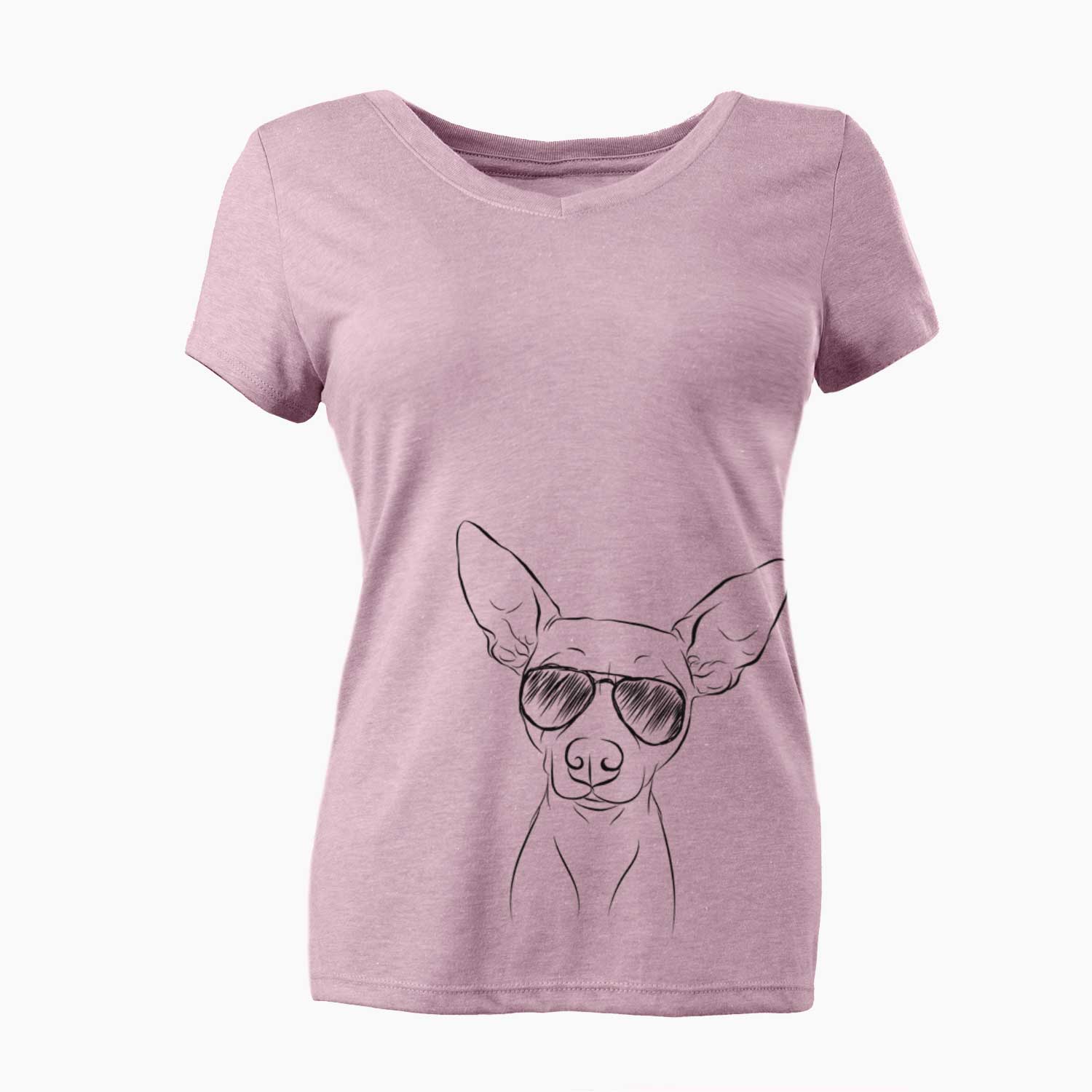 Aviator Desi the American Hairless Terrier - Women's V-neck Shirt