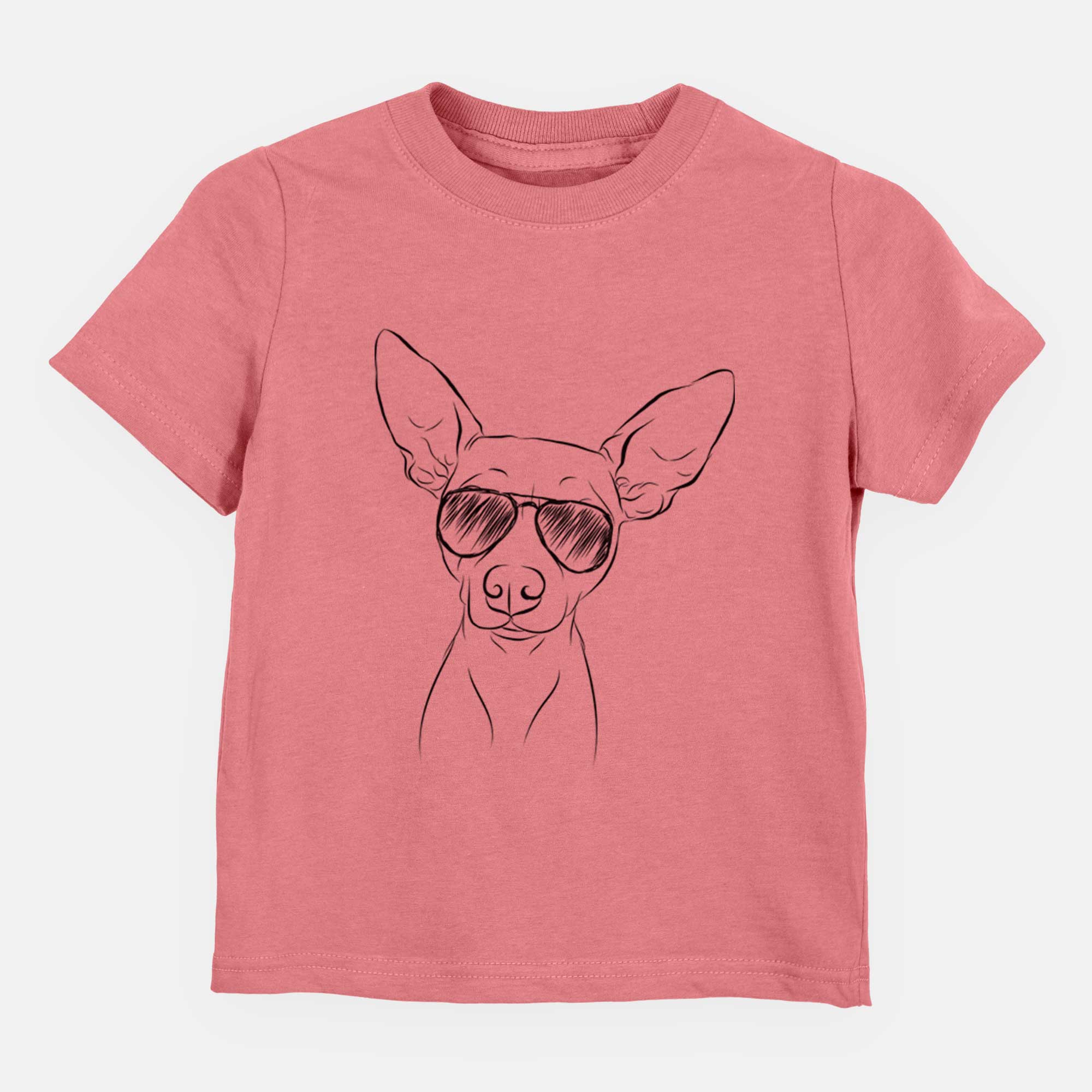 Aviator Desi the American Hairless Terrier - Kids/Youth/Toddler Shirt