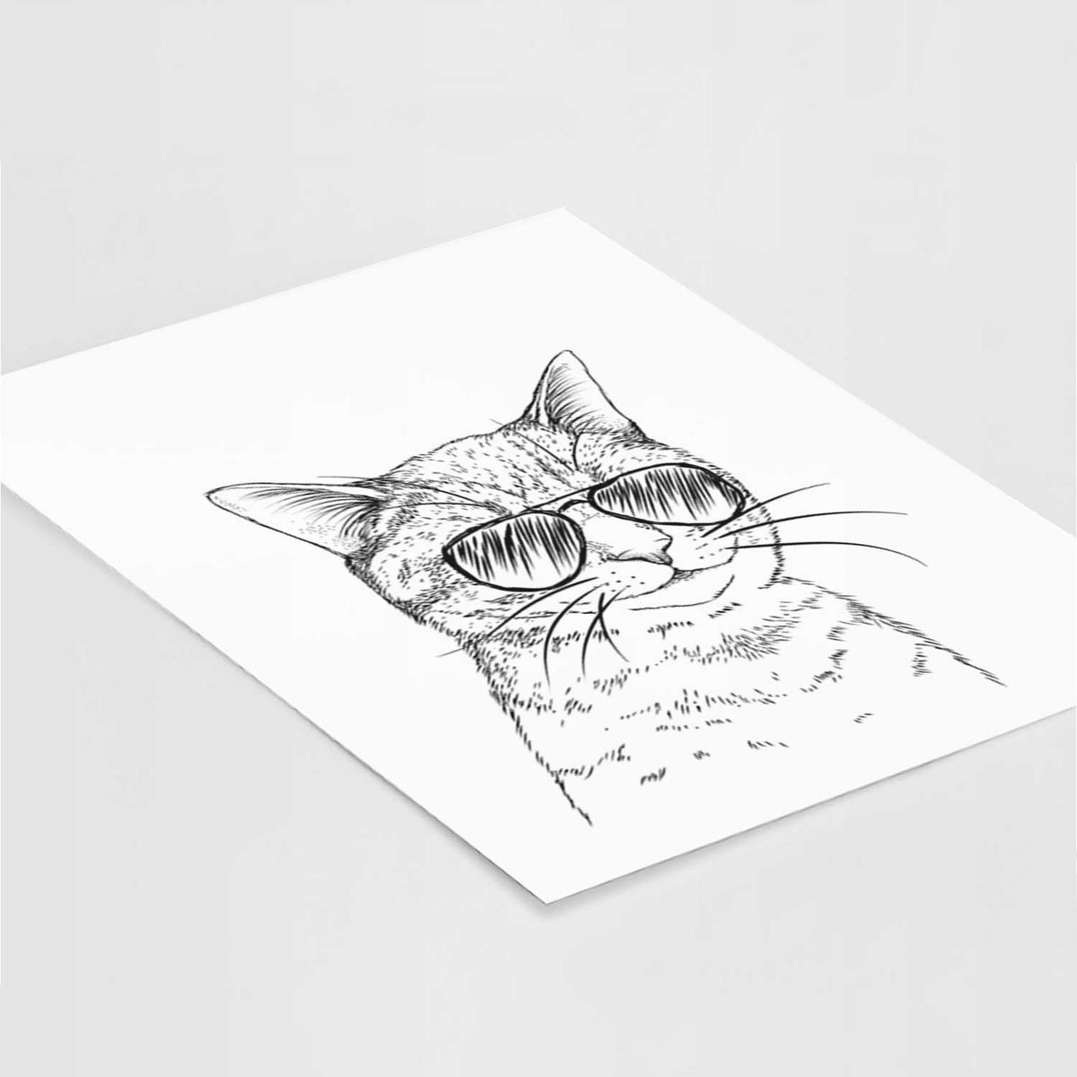 Dexter the Domestic Shorthair Cat Art Print