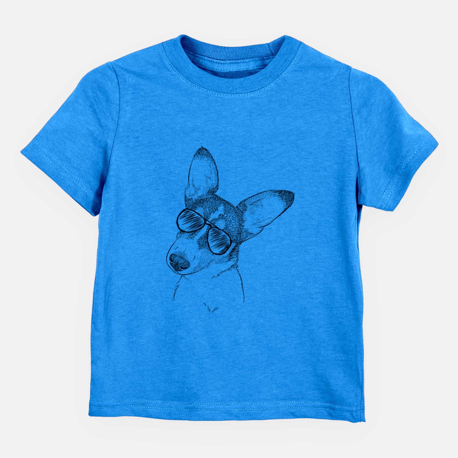 Aviator Dexter the Corgi - Kids/Youth/Toddler Shirt