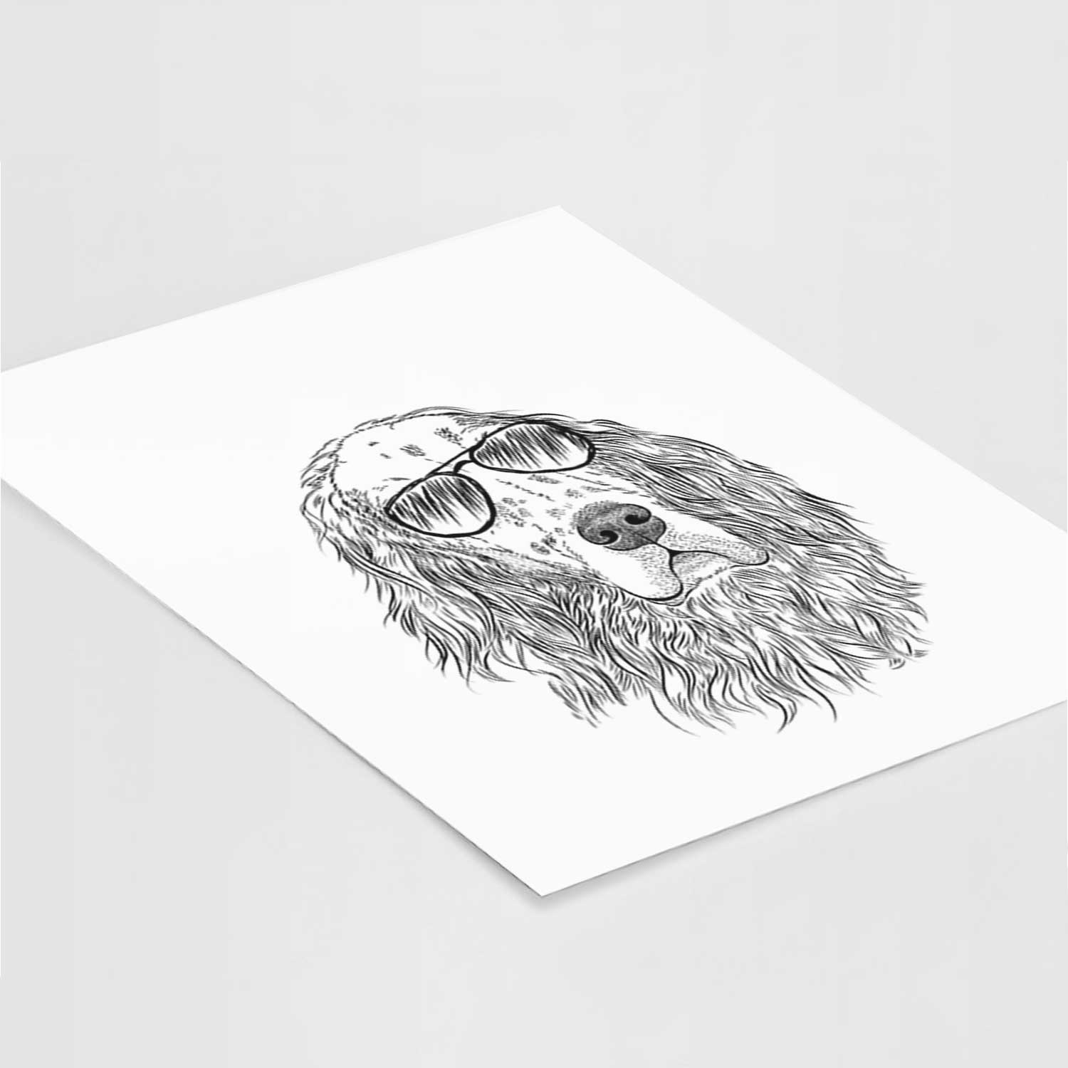 Dexter the English Setter Art Print