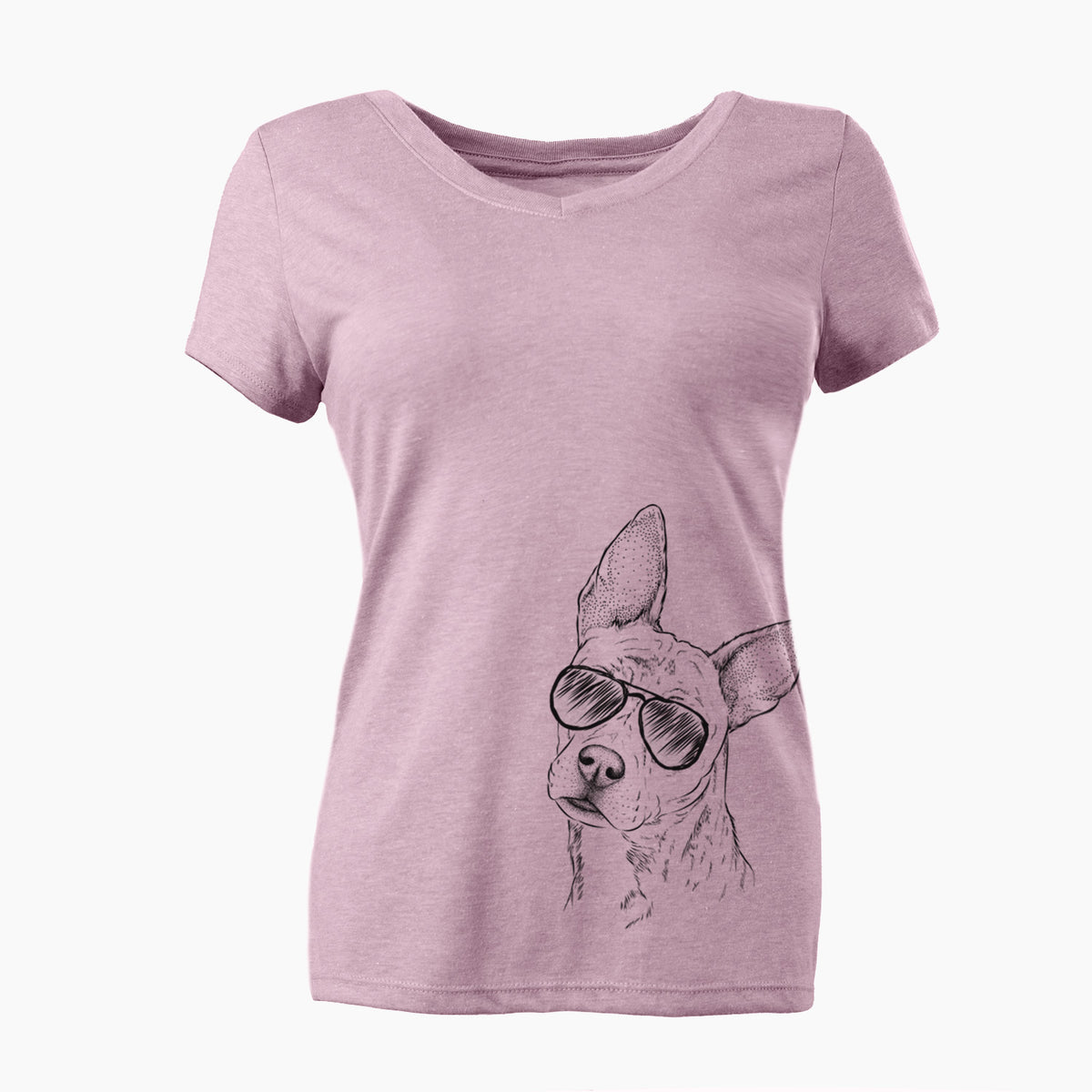 Aviator Diesel the Mixed Breed - Women's V-neck Shirt