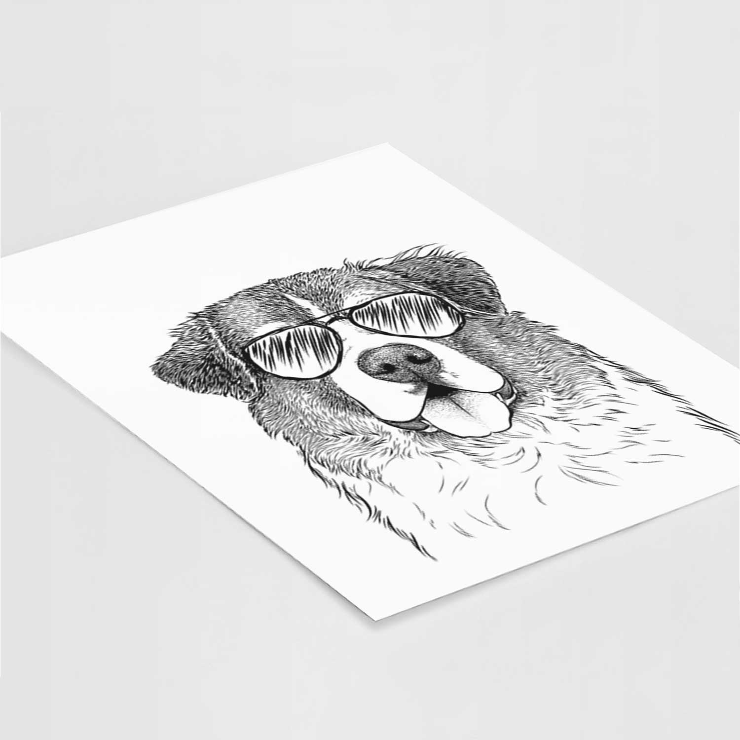 Dilly the Saint Bernard Art Print