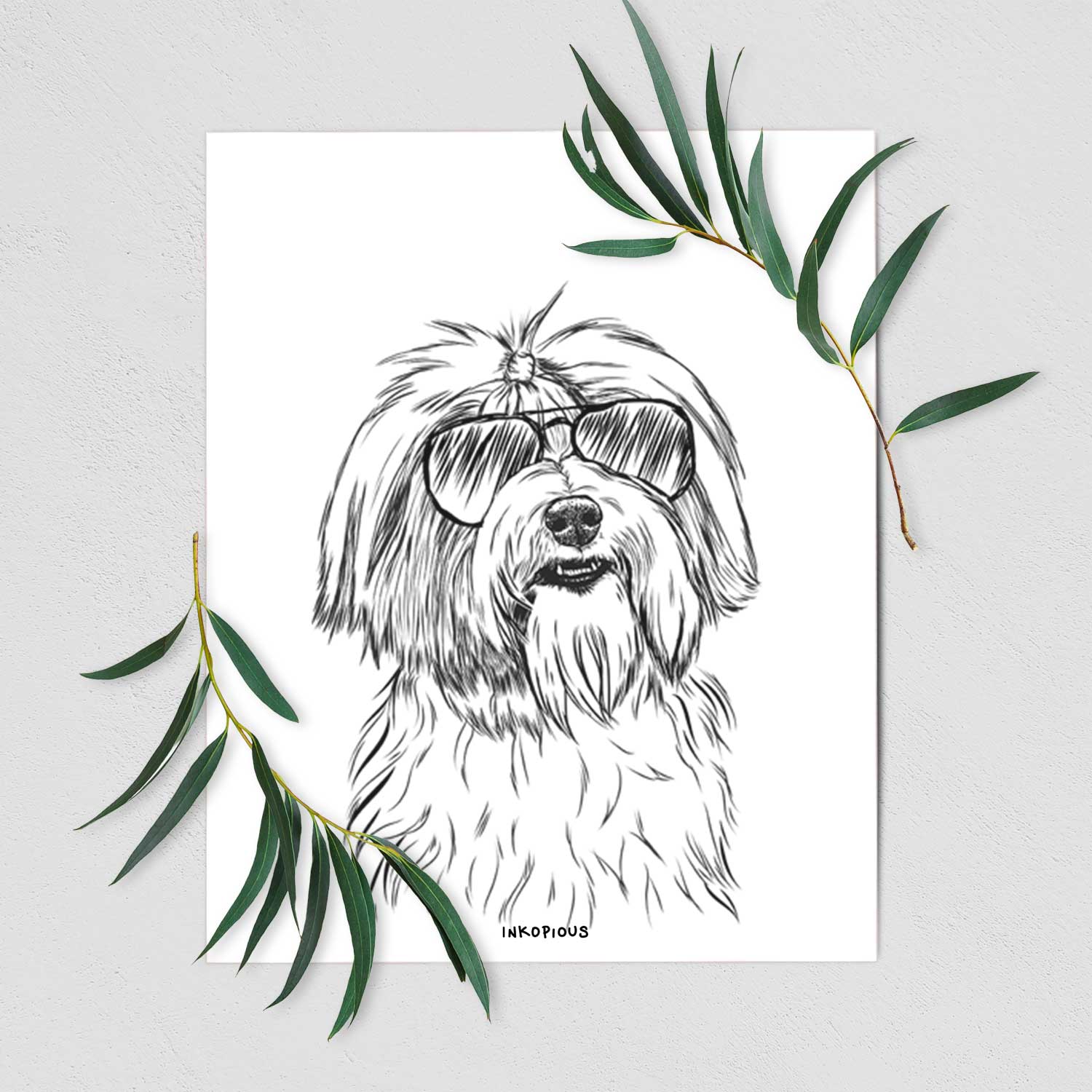 Dooley the Havanese Art Print