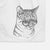 Dora the Tabby Cat Decorative Hand Towel