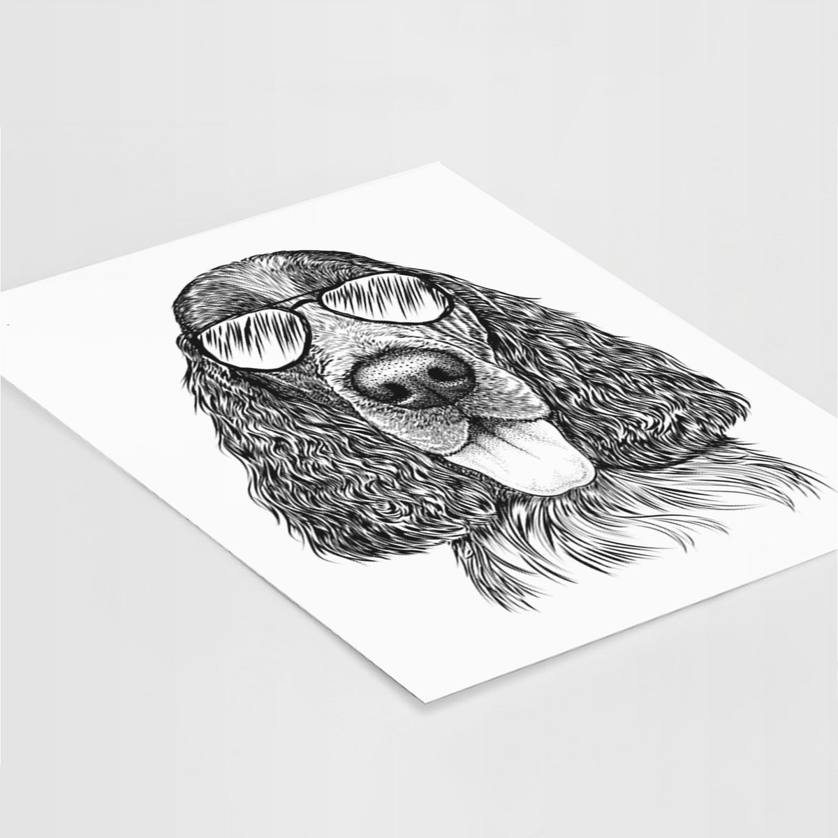 Duke the English Springer Spaniel Art Print