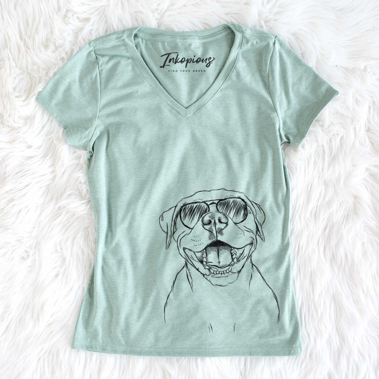 Aviator Dutch the Mixed Breed - Women's V-neck Shirt