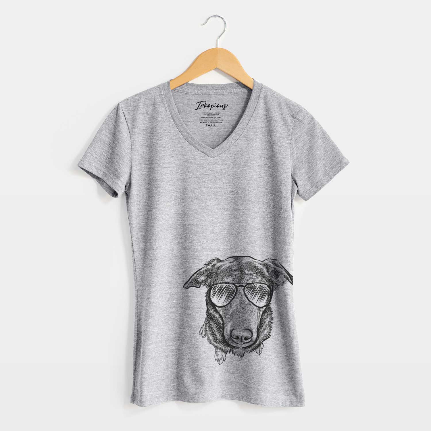 Aviator Echo the Pitbull Beagle Mix - Women's V-neck Shirt