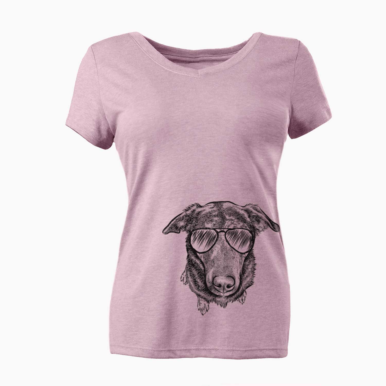 Aviator Echo the Pitbull Beagle Mix - Women's V-neck Shirt