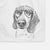 Elvis the Bluetick Beagle Decorative Hand Towel