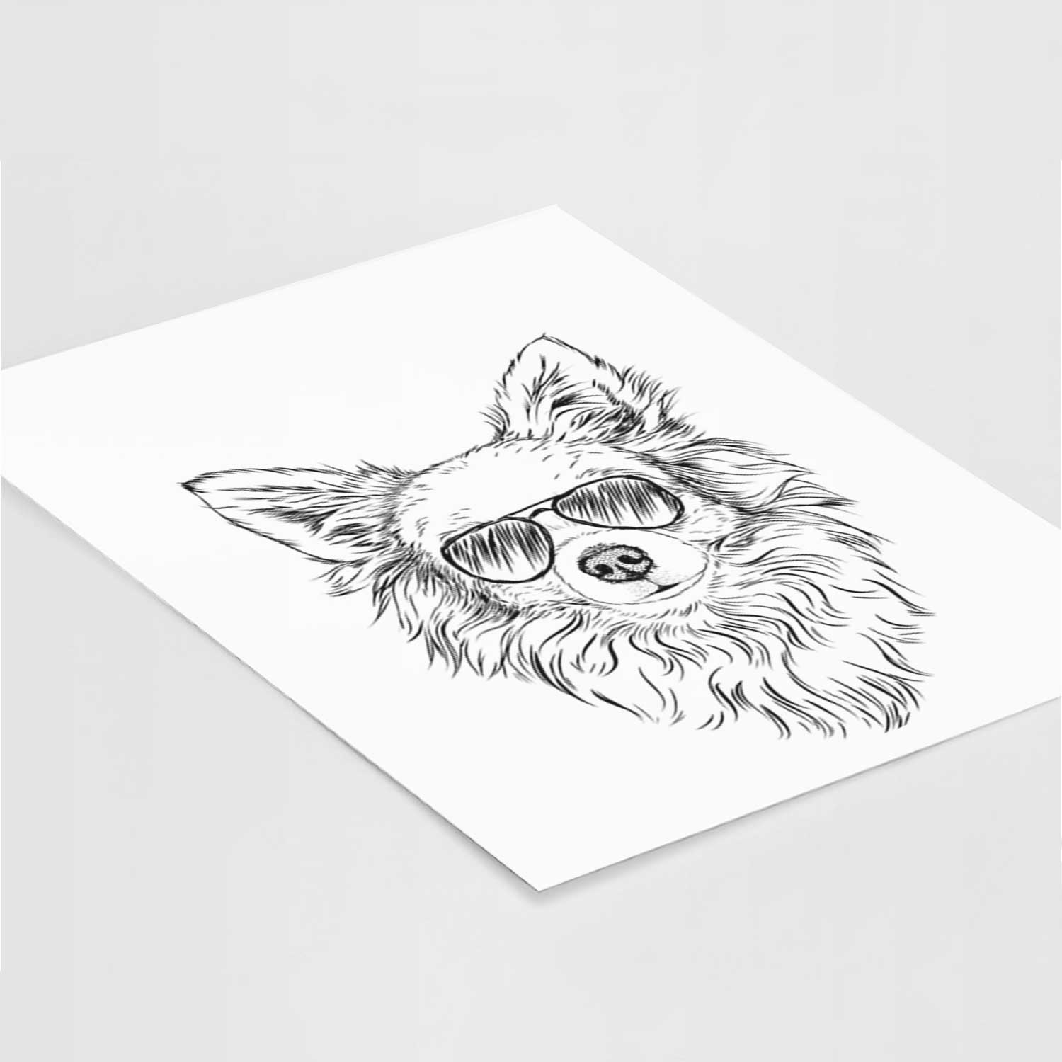 Emma the Longhaired Chihuahua Art Print