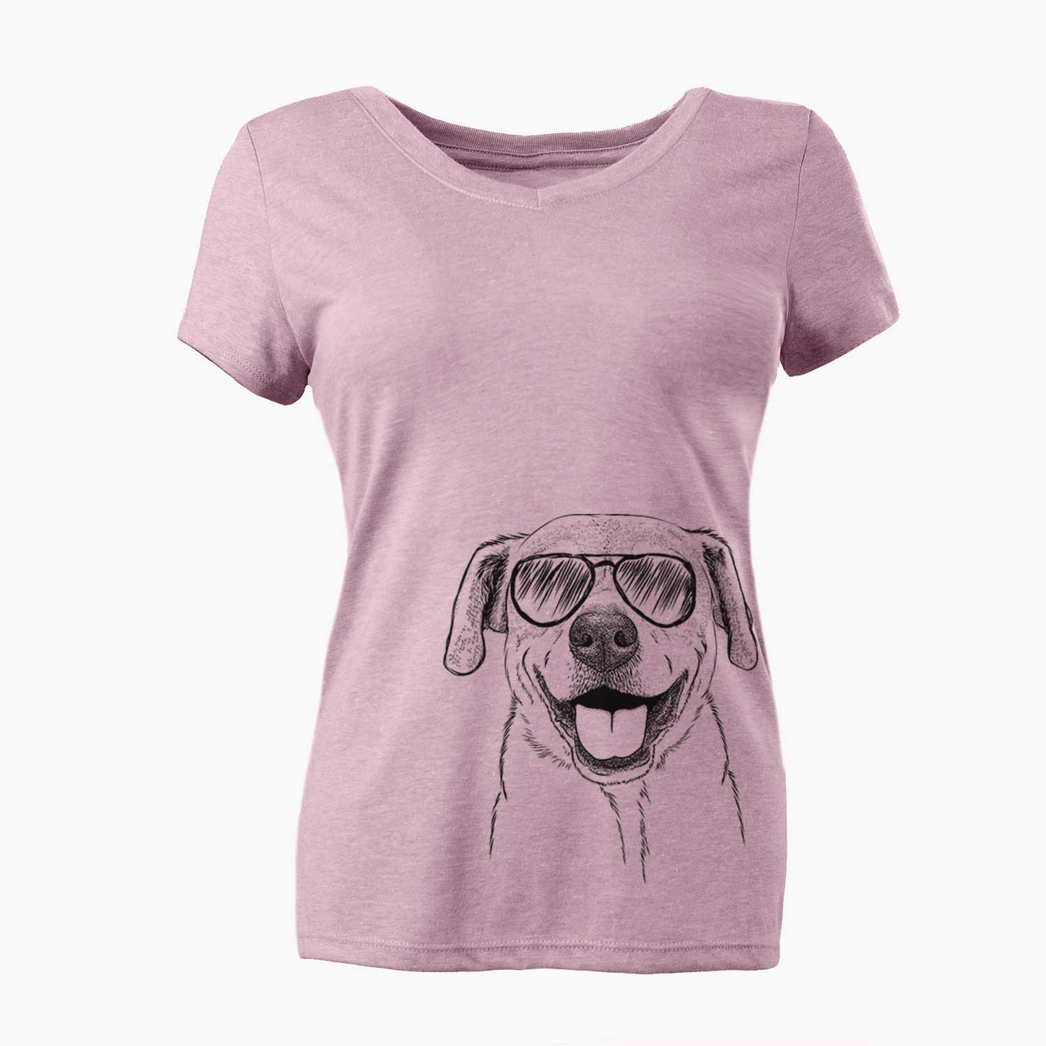 Aviator Ernie the Mixed Breed - Women's V-neck Shirt