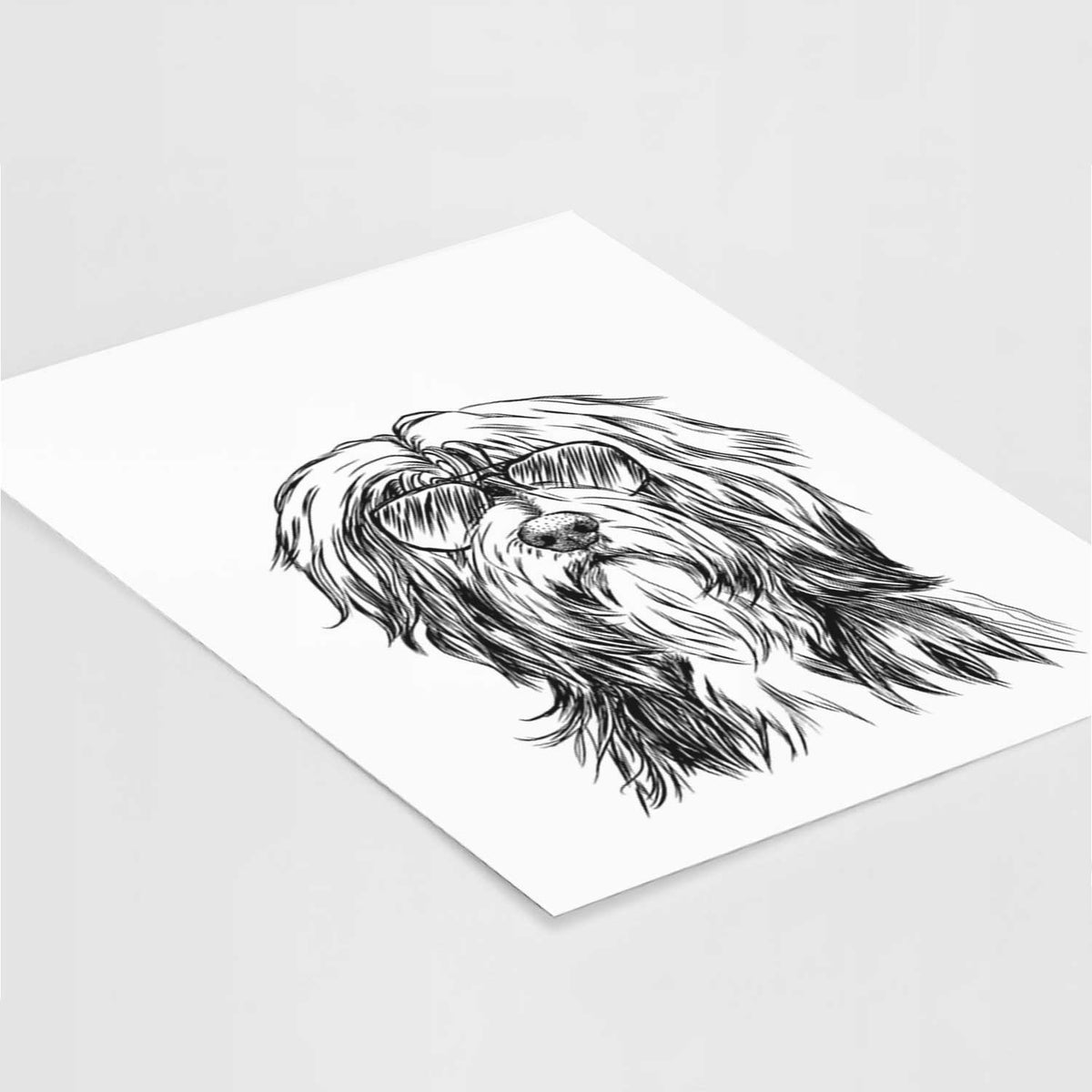 Fiji the Polish Lowland Sheepdog Art Print