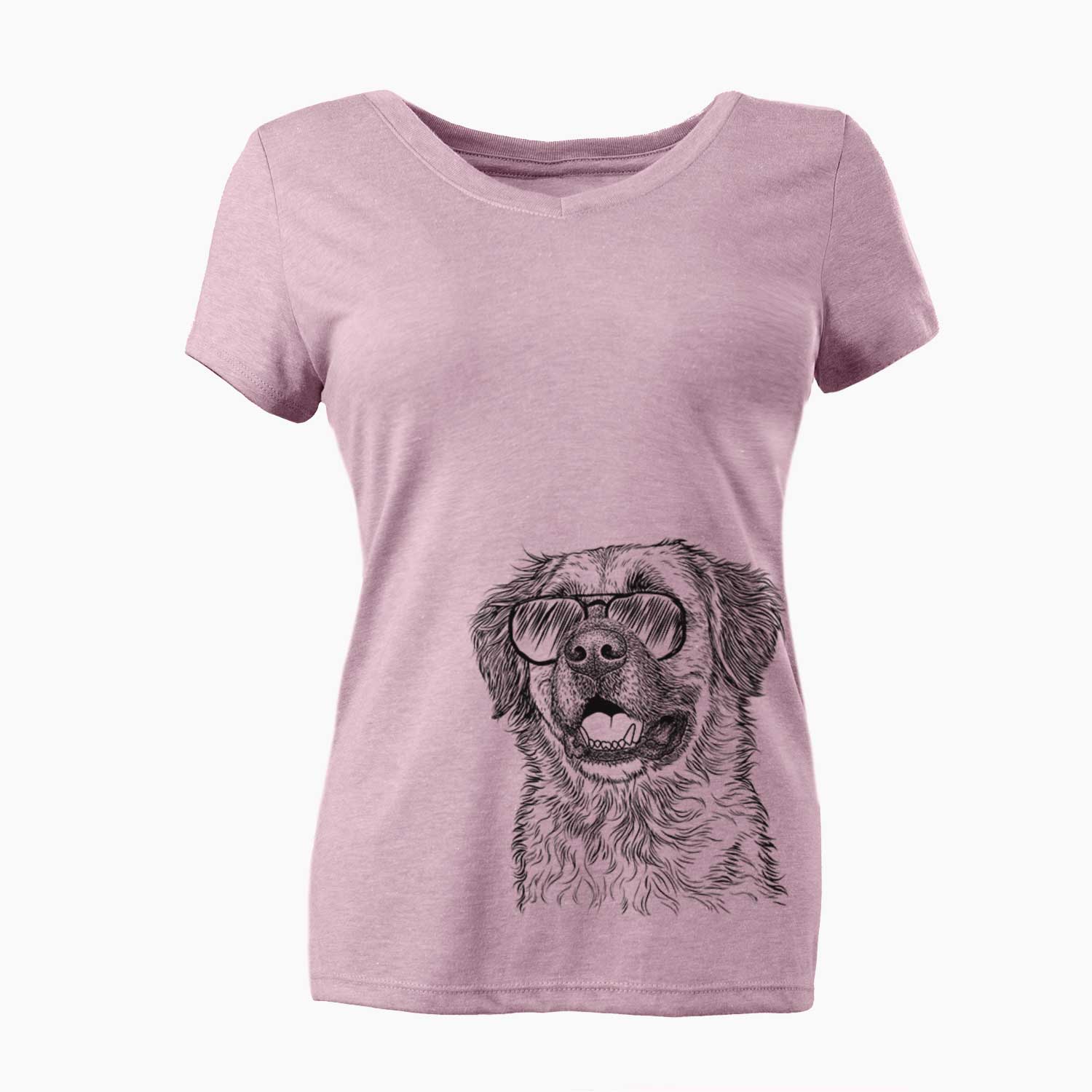 Aviator Finn the Mixed Breed - Women's V-neck Shirt