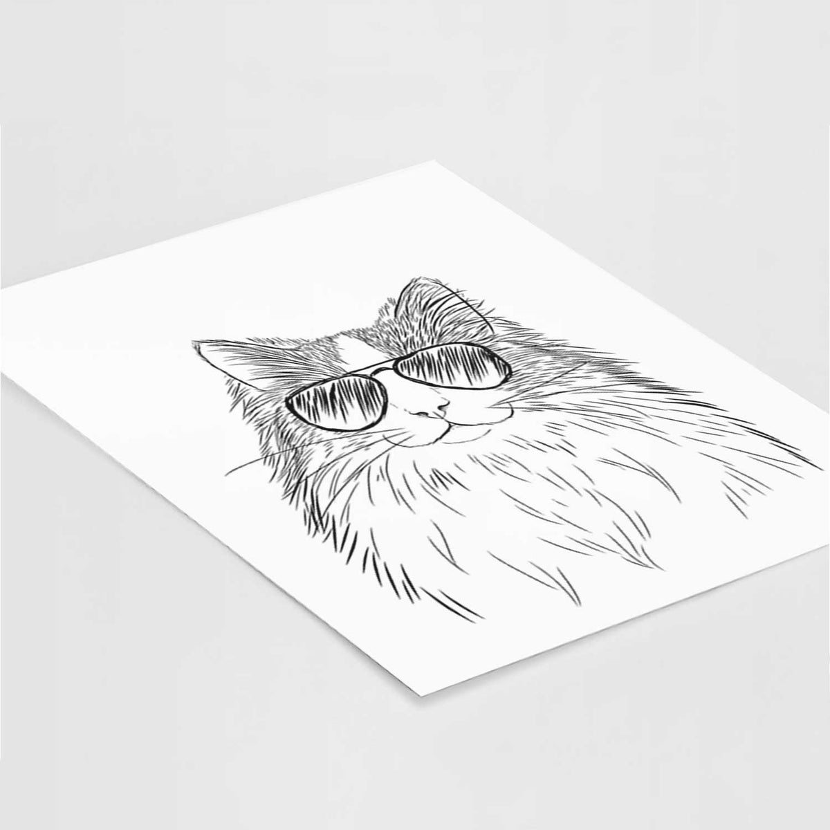 Fiona the Ragdoll Cat Art Print