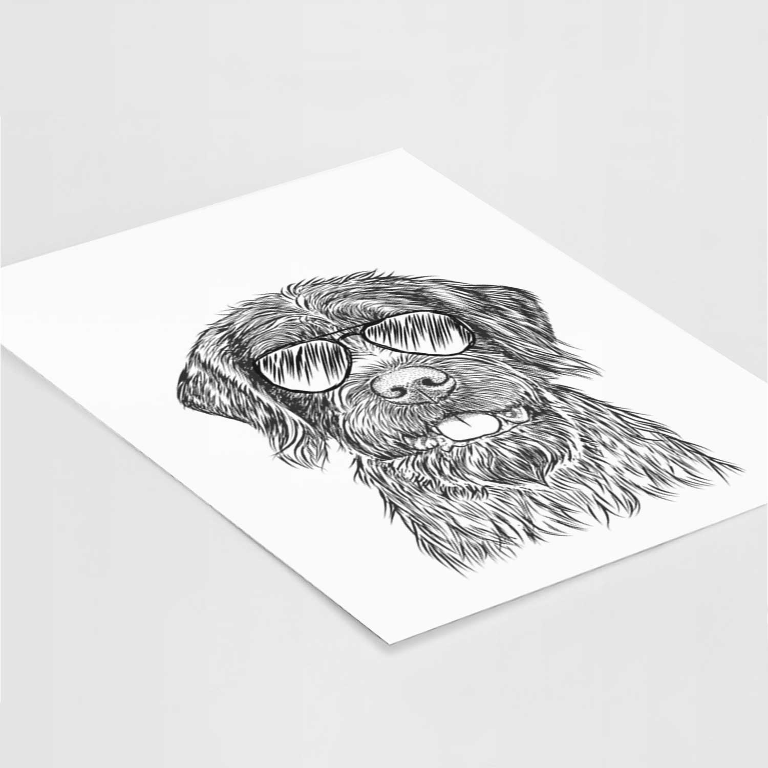 Fletcher the Wirehaired Pointing Griffon Art Print