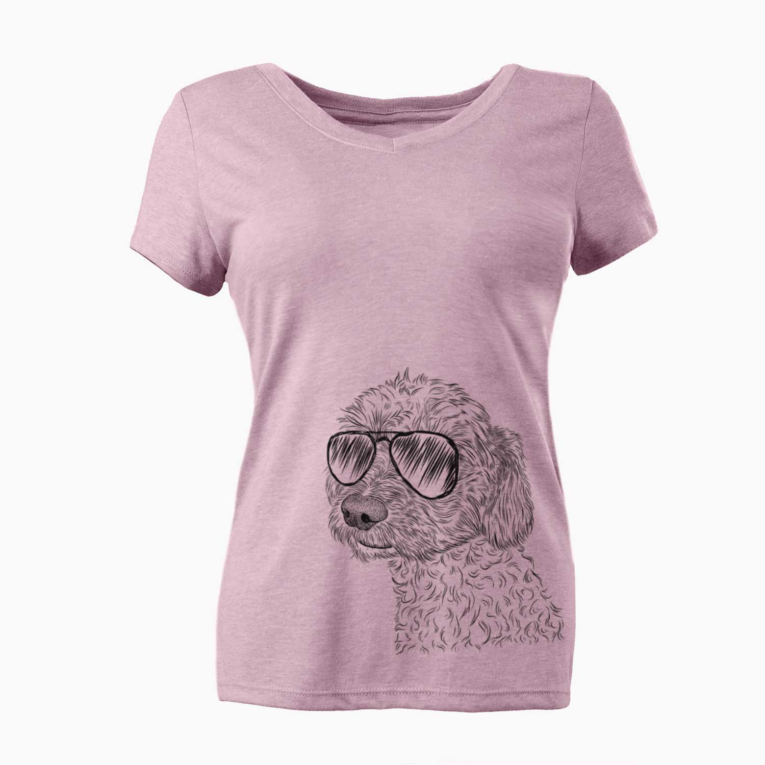 Aviator Georgie Boy the Mixed Breed - Women's V-neck Shirt