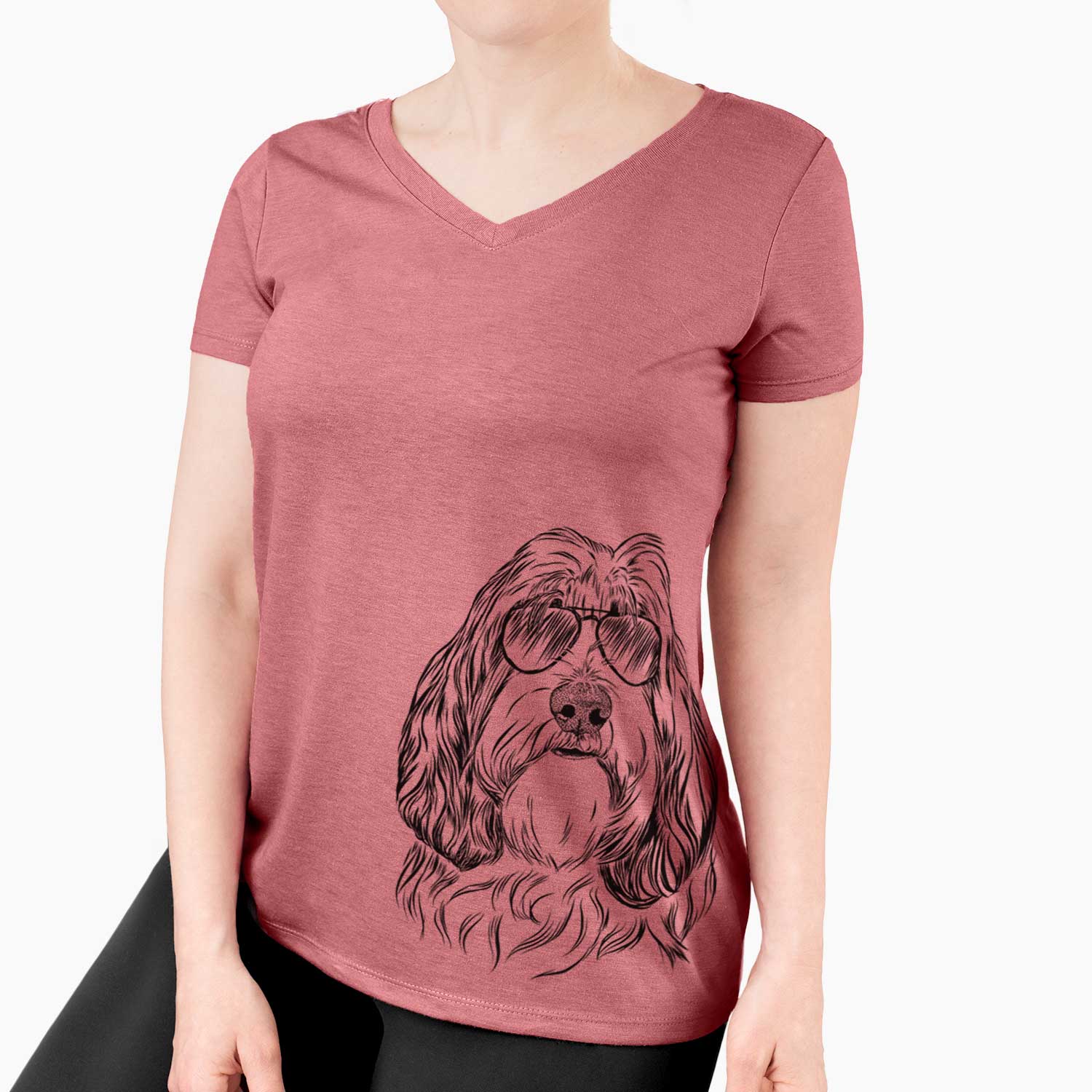 Aviator Gerard the Petit Basset Griffon Vendeen - Women's V-neck Shirt