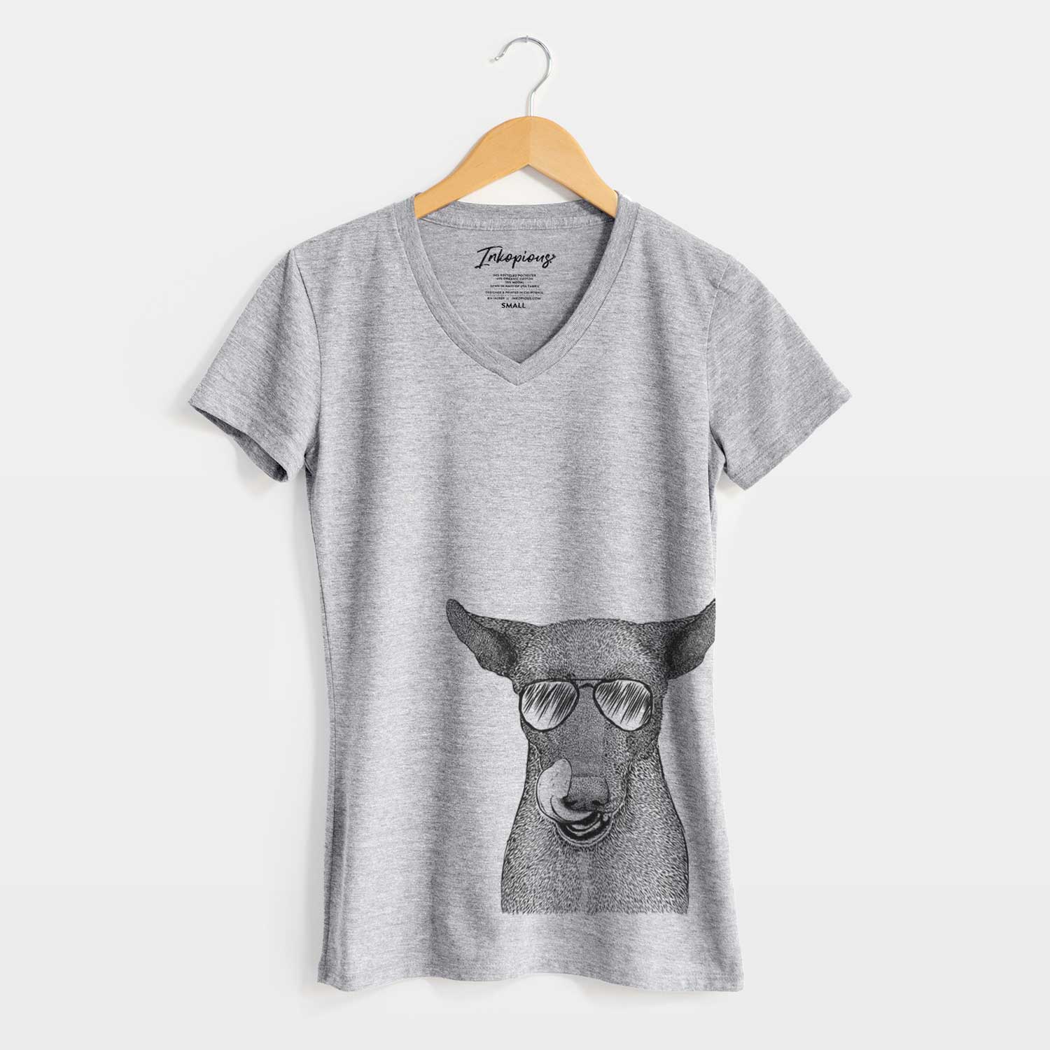 Aviator Gidget the Mexican Street Dog - Women's V-neck Shirt