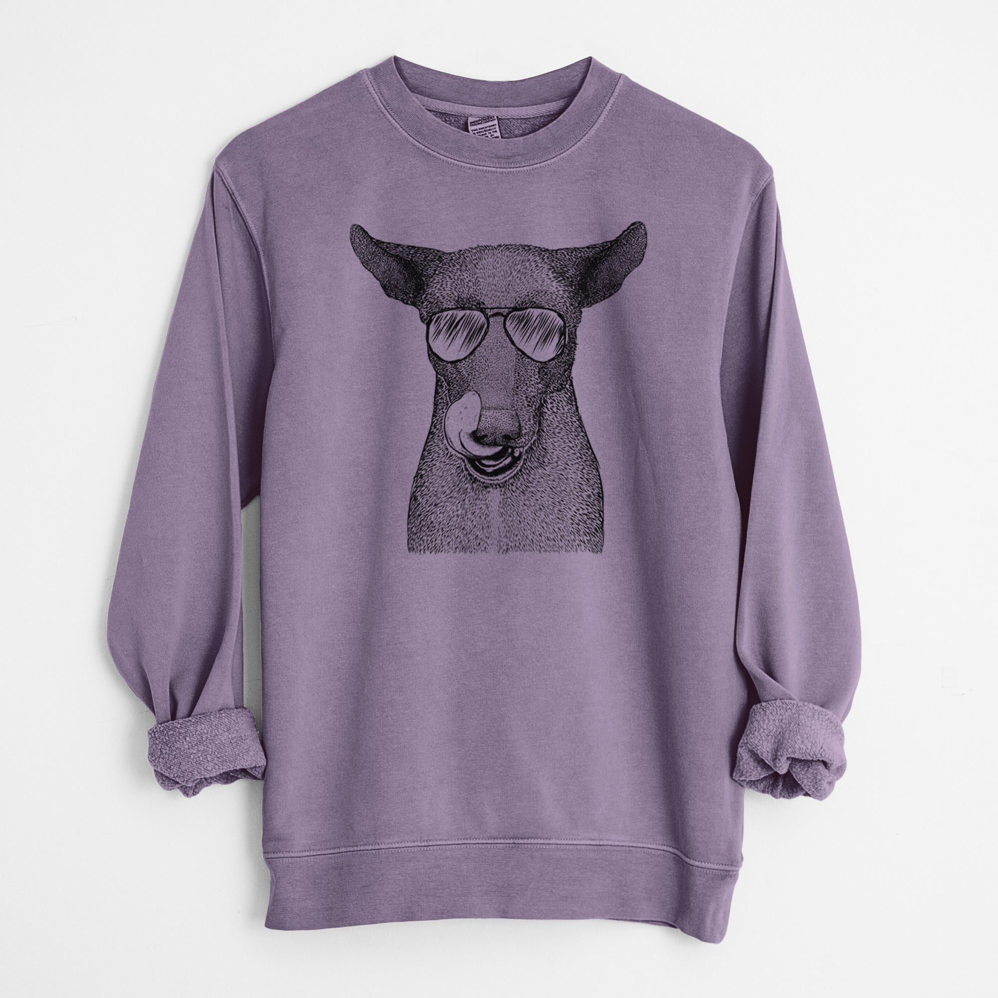 Aviator Gidget the Mexican Street Dog - Unisex Pigment Dyed Crew Sweatshirt