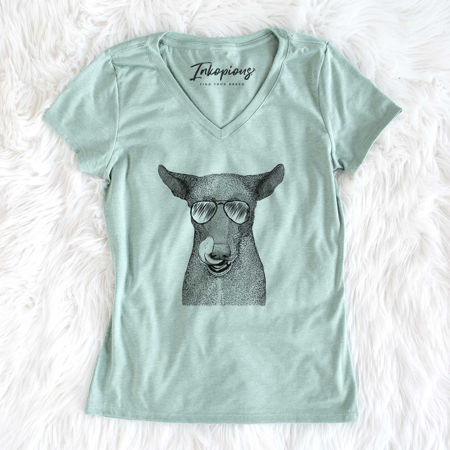 Aviator Gidget the Mexican Street Dog - Women's V-neck Shirt