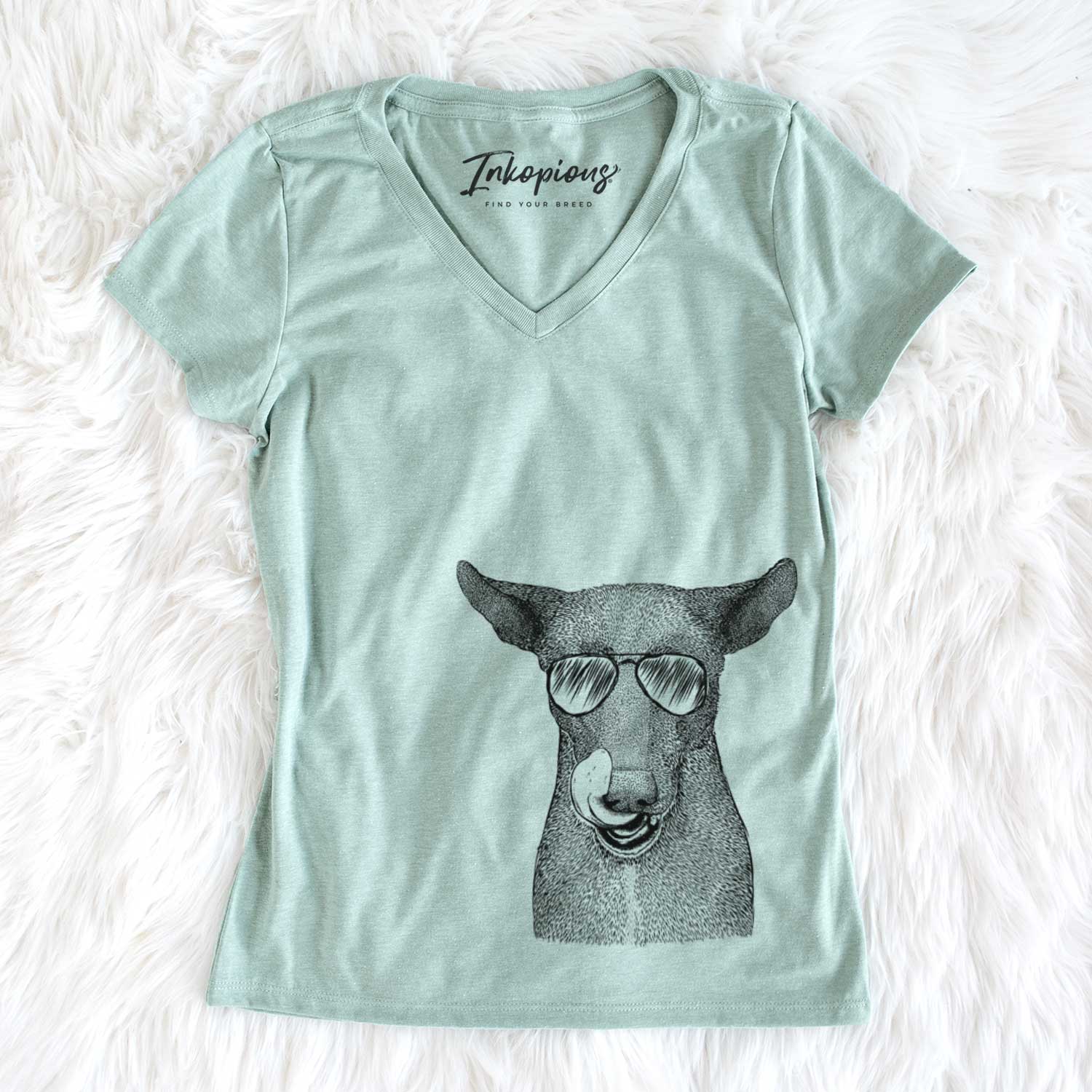 Aviator Gidget the Mexican Street Dog - Women's V-neck Shirt