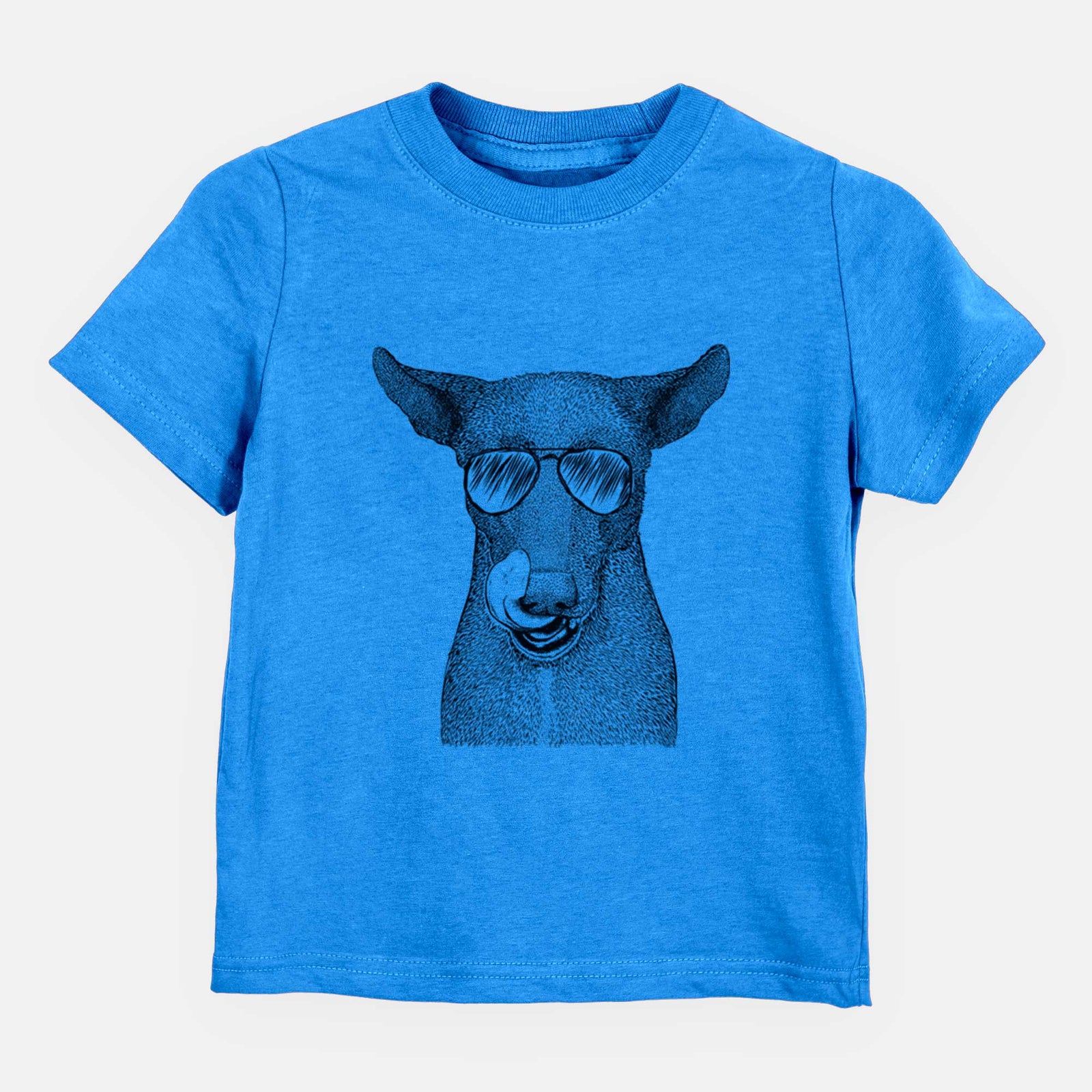 Aviator Gidget the Mexican Street Dog - Kids/Youth/Toddler Shirt