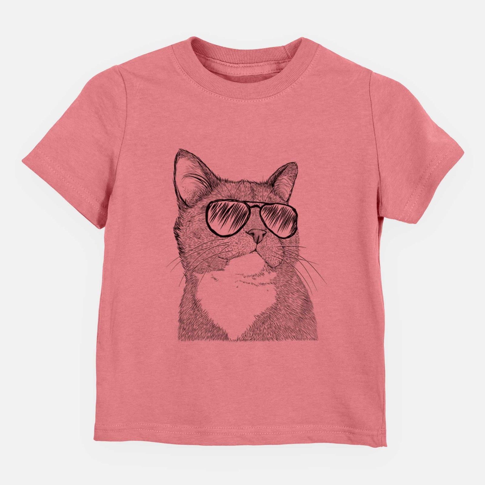Aviator Gizmo the Grey Cat - Kids/Youth/Toddler Shirt