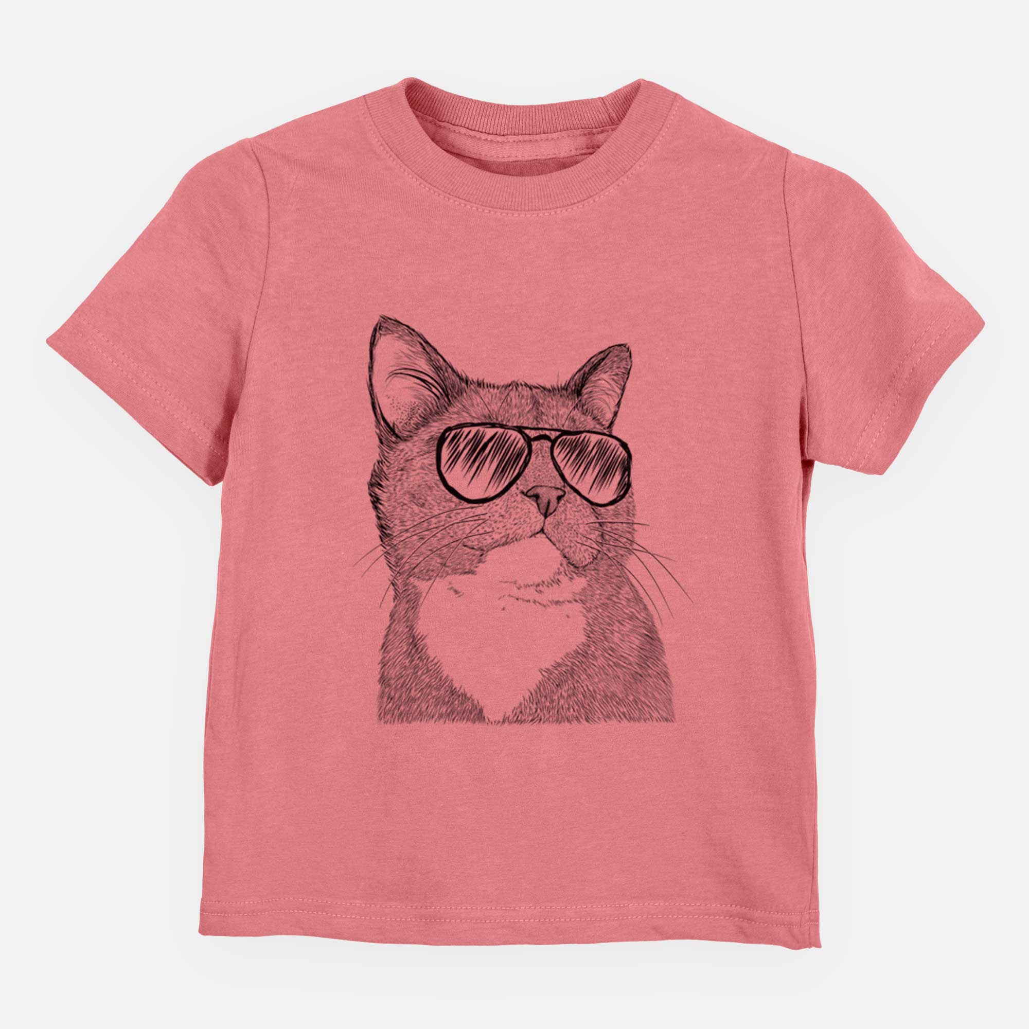 Aviator Gizmo the Grey Cat - Kids/Youth/Toddler Shirt