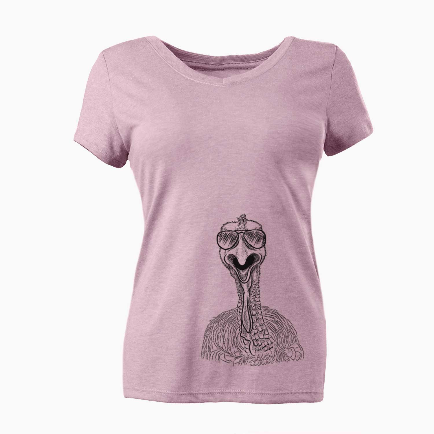 Aviator Gobble the Turkey - Women's V-neck Shirt