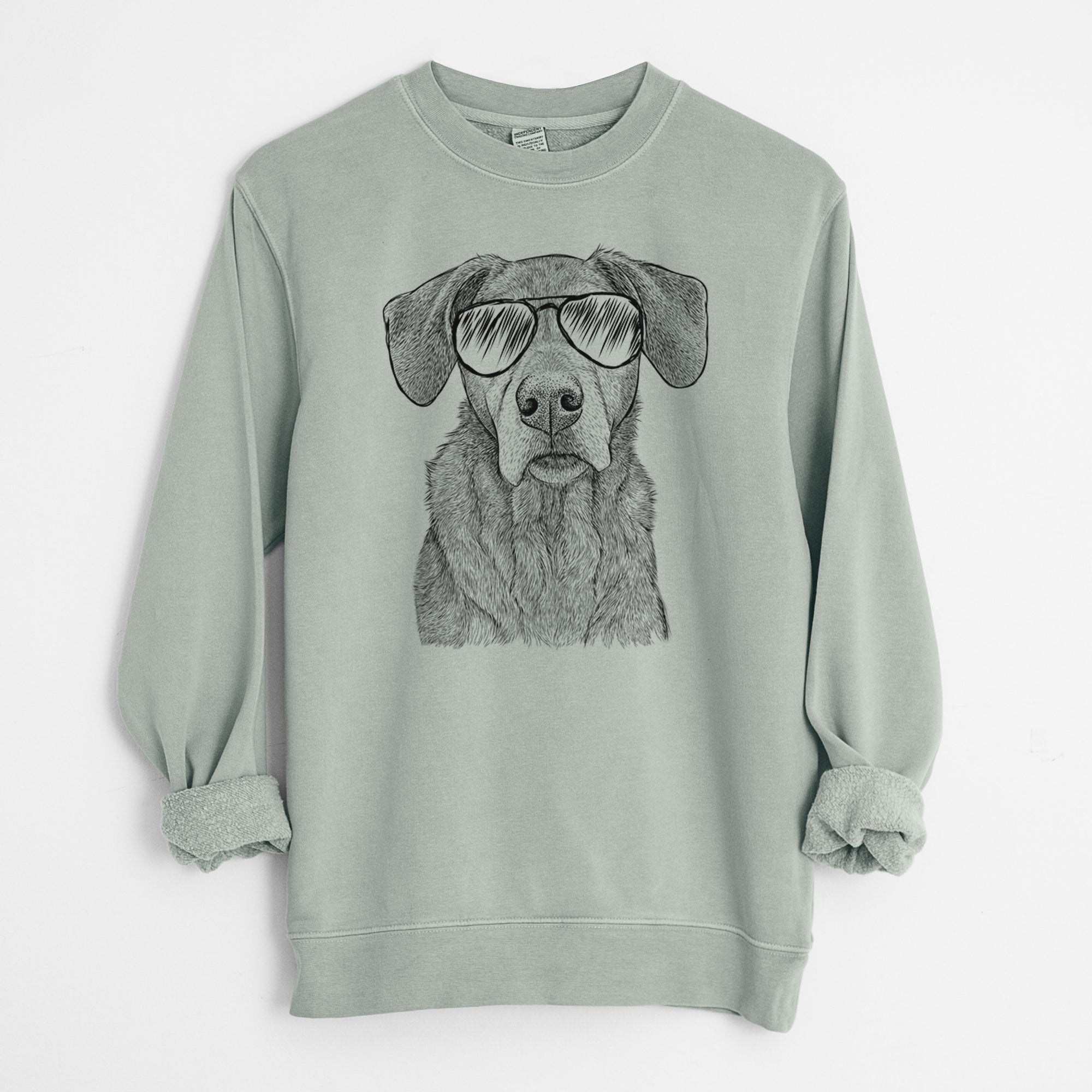 Aviator Gravy the Plott Hound Beagle Mix - Unisex Pigment Dyed Crew Sweatshirt