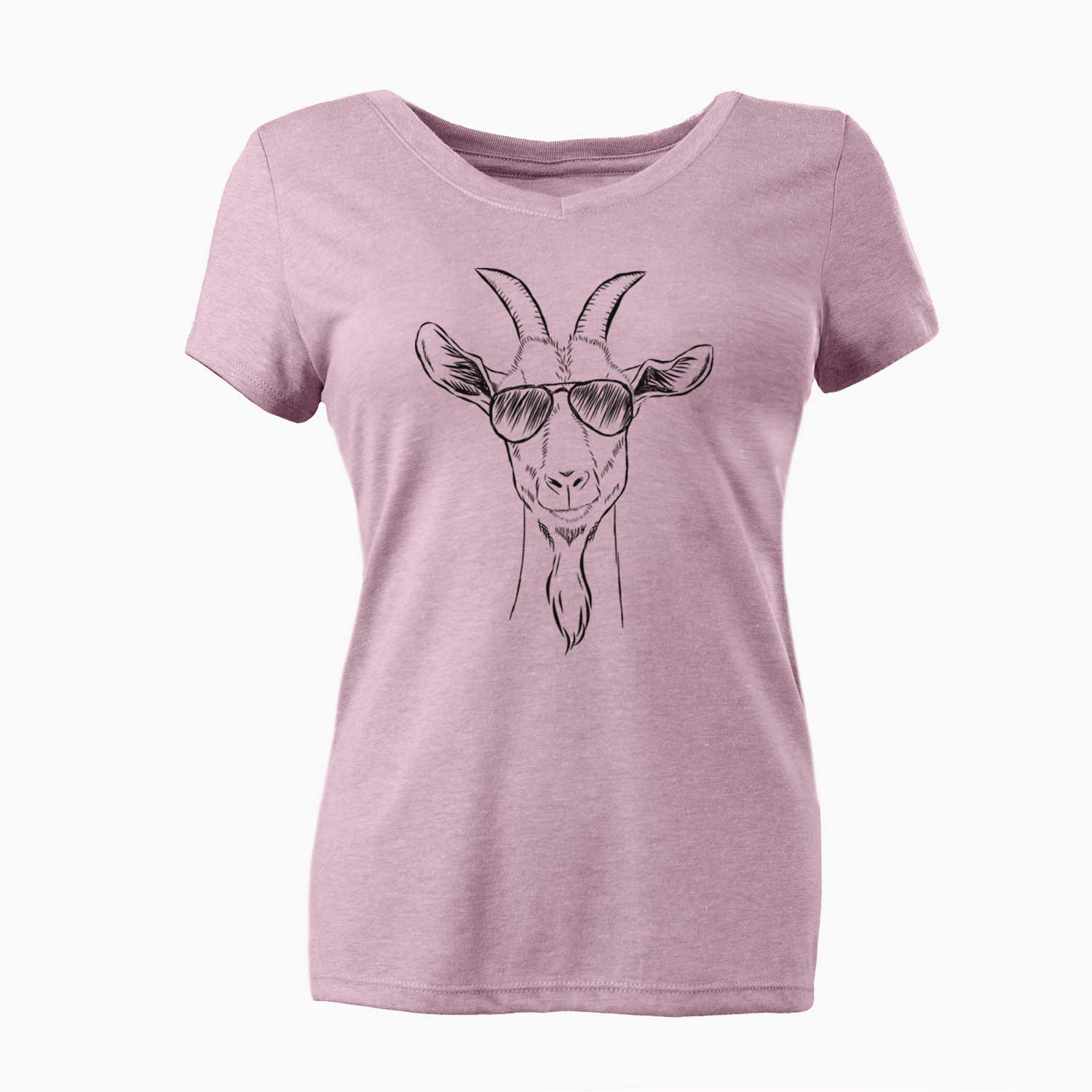 Aviator Gunnar the Goat - Women's V-neck Shirt