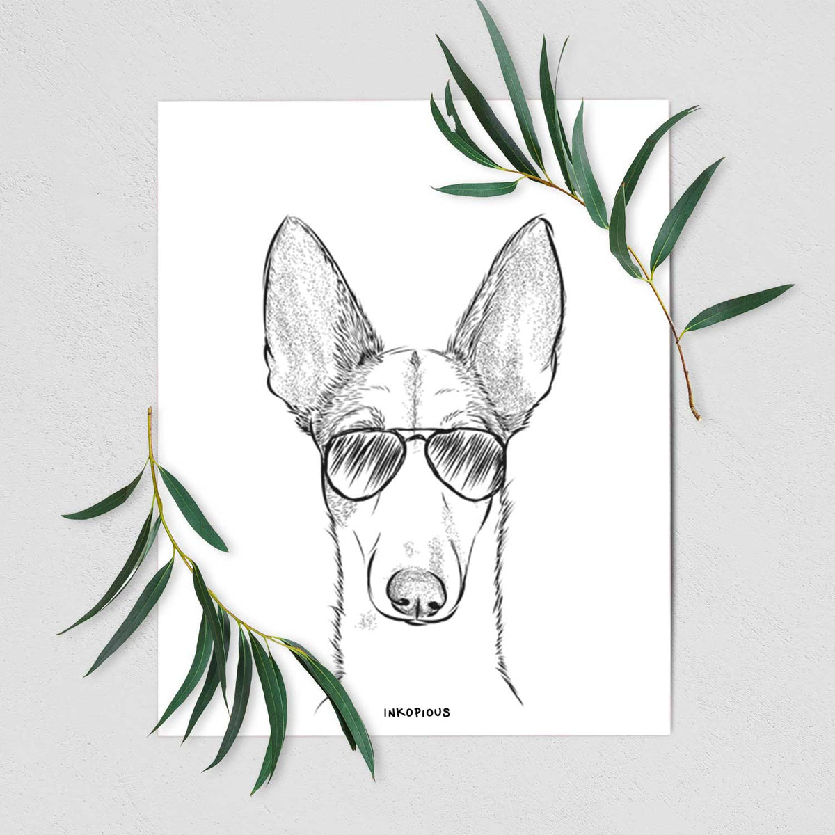 Halo the Ibizan Sight Hound Art Print