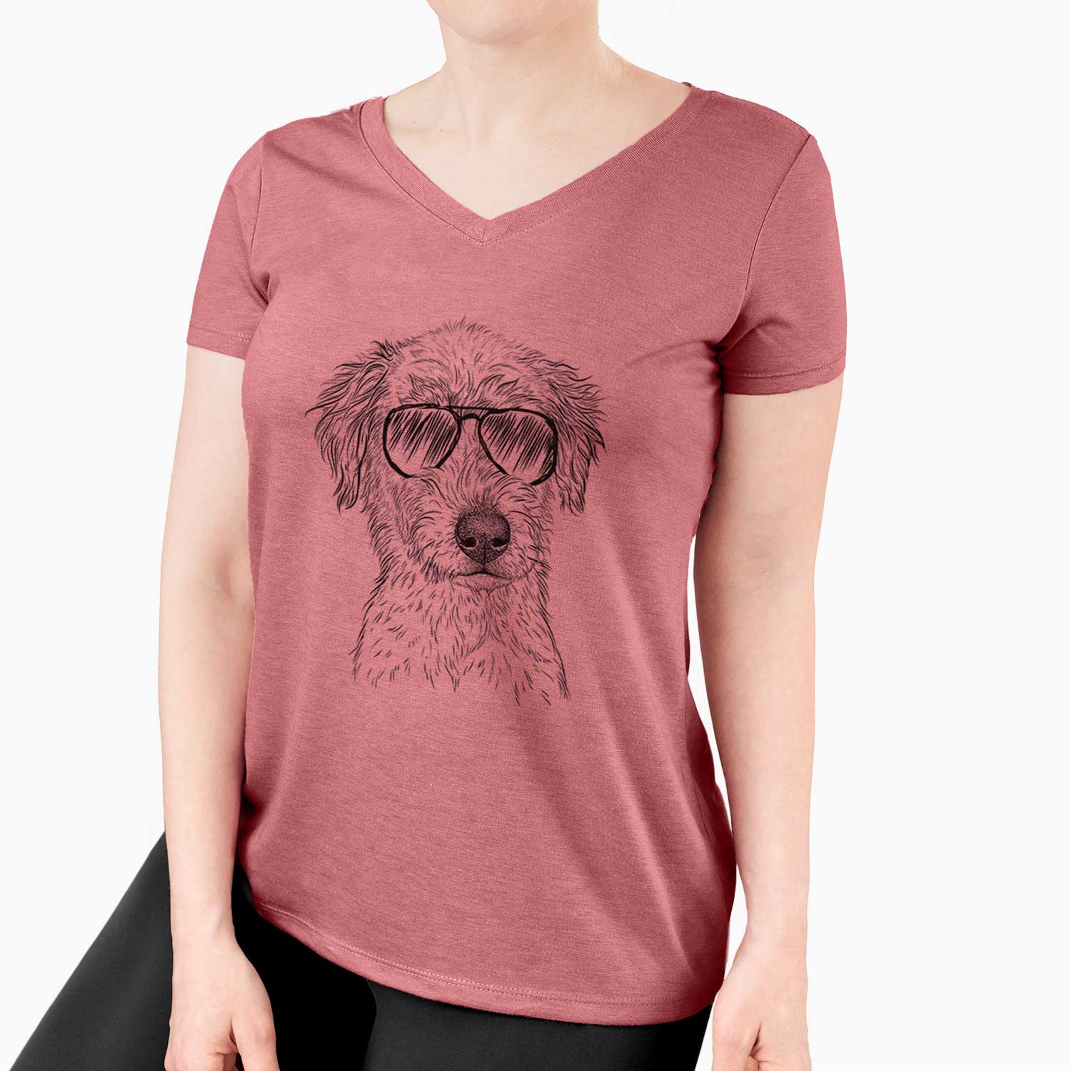 Aviator Harry the Mixed Breed Puppy - Women's V-neck Shirt