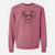 Aviator Harvey the Great Dane - Unisex Pigment Dyed Crew Sweatshirt