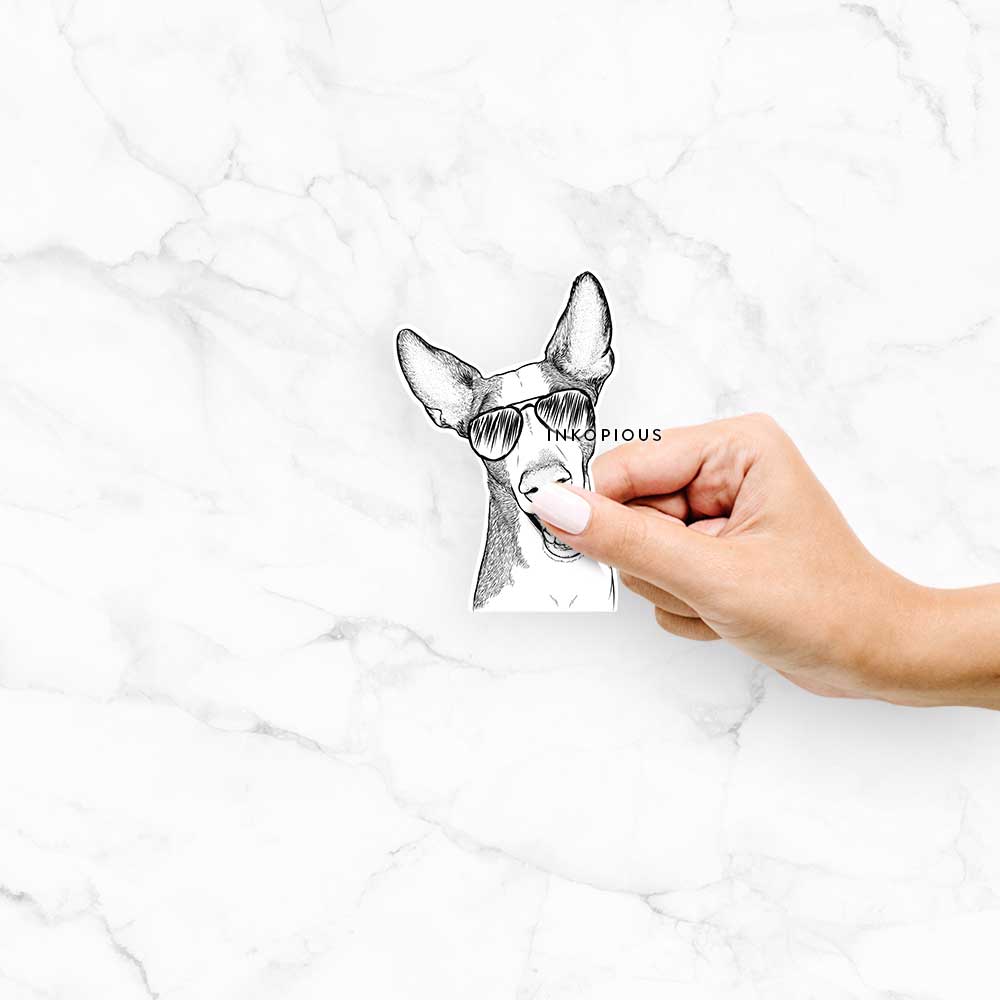 Havok the Ibizan Hound - Decal Sticker