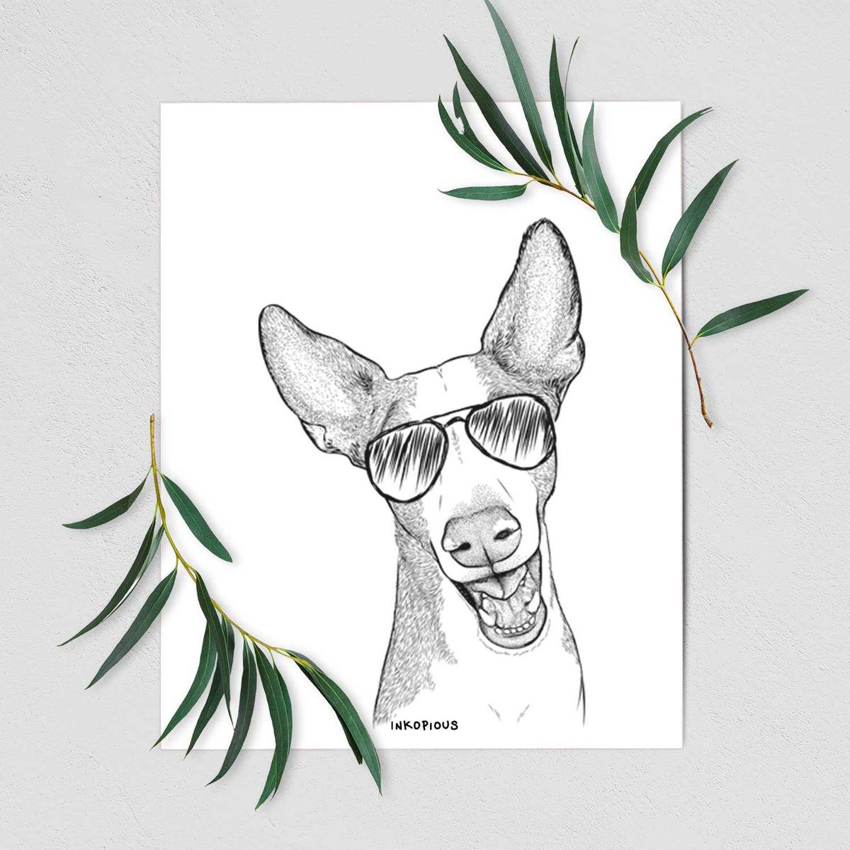 Havok the Ibizan Hound Art Print