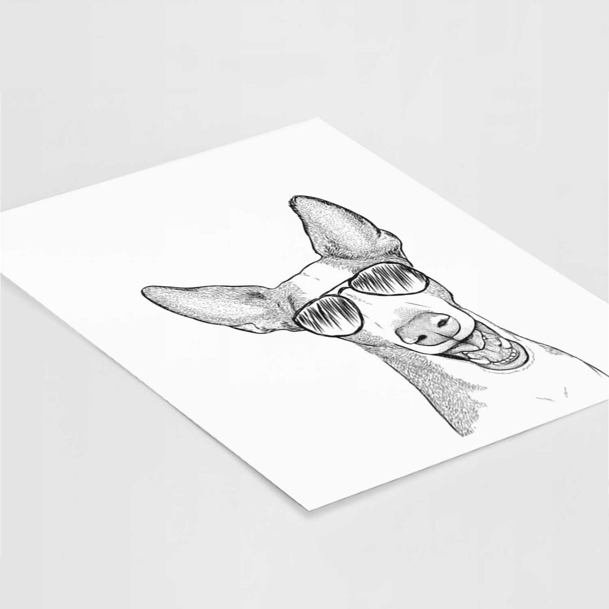 Havok the Ibizan Hound Art Print